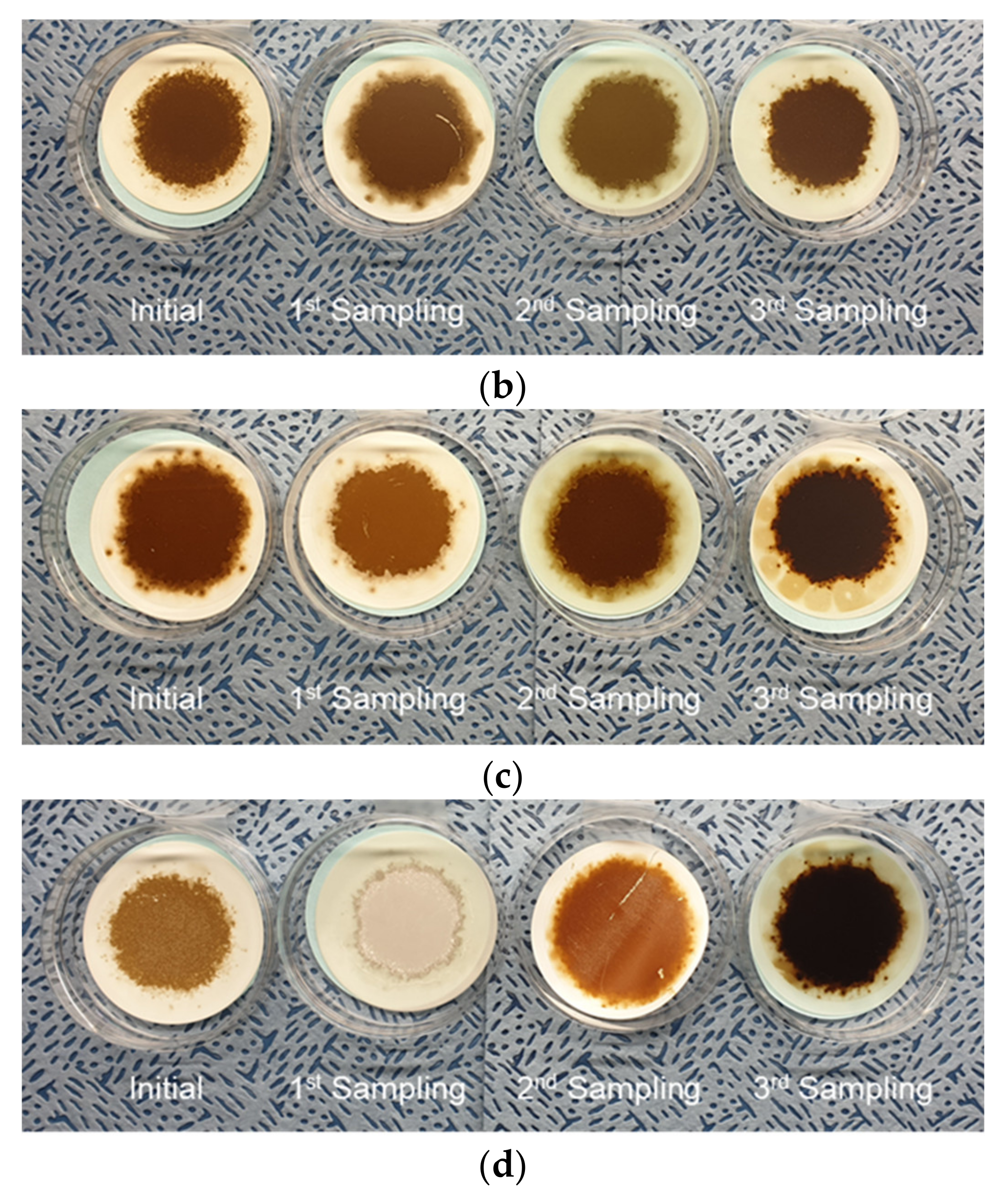 Materials 15 07657 g014b Materials 15 07657 g014b