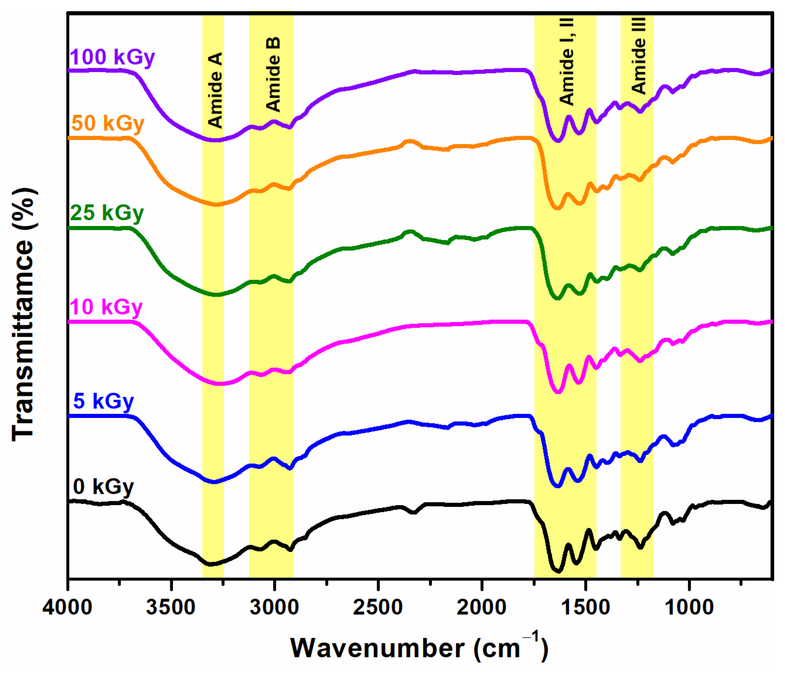 Correlations on the Structure and Properties of Collagen Hydrogels