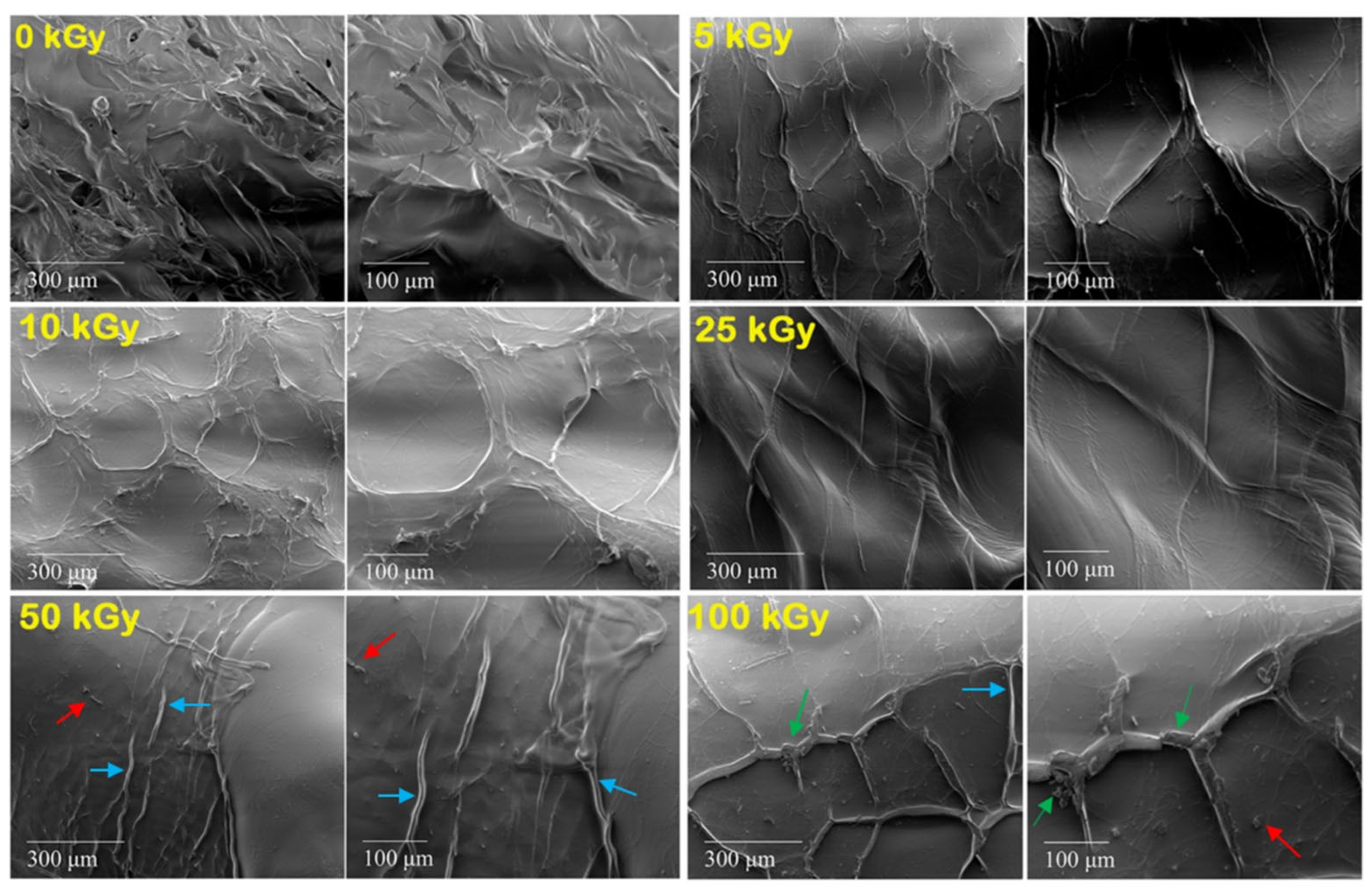 Materials 15 07663 g005 Materials 15 07663 g005