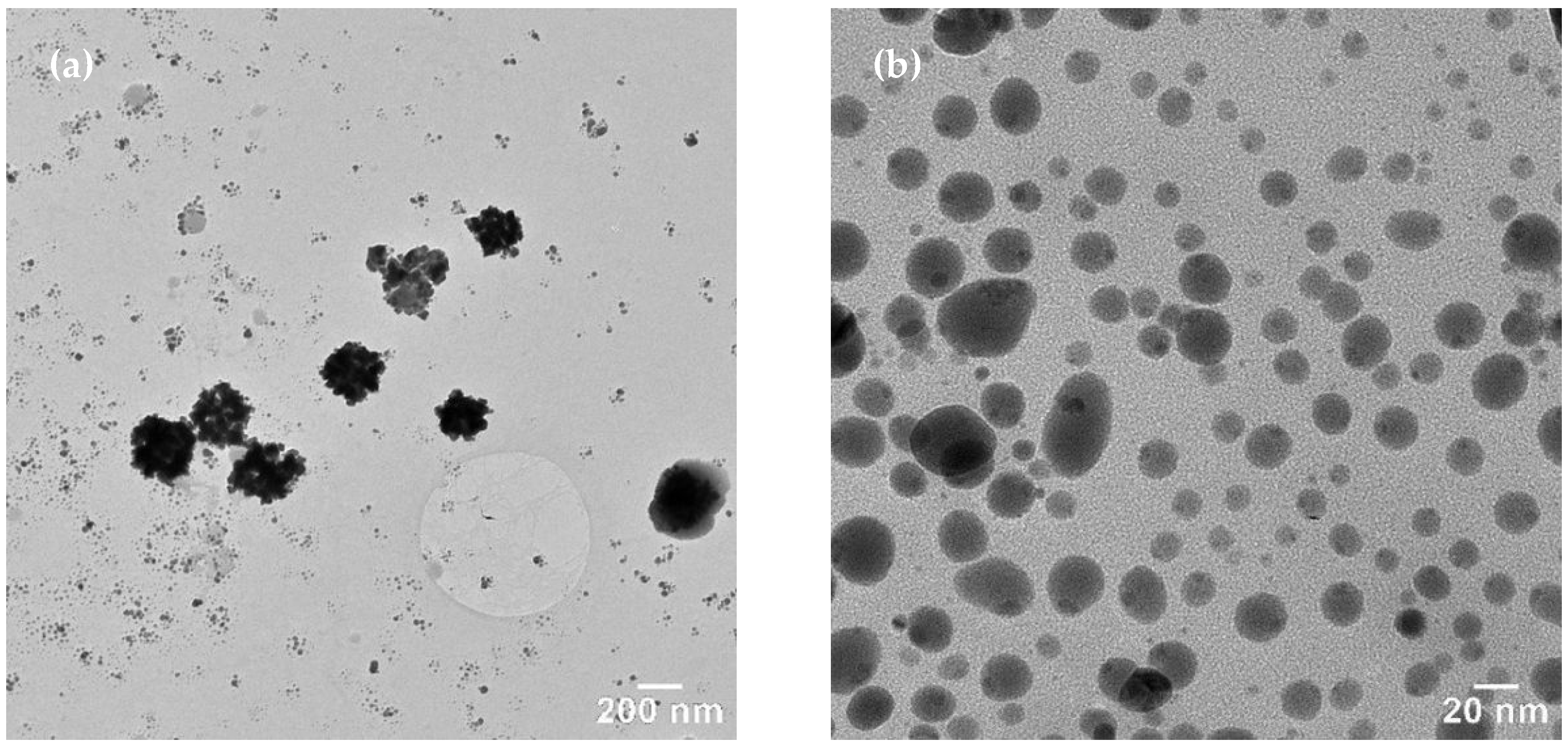 Materials 15 07695 g005a Materials 15 07695 g005a