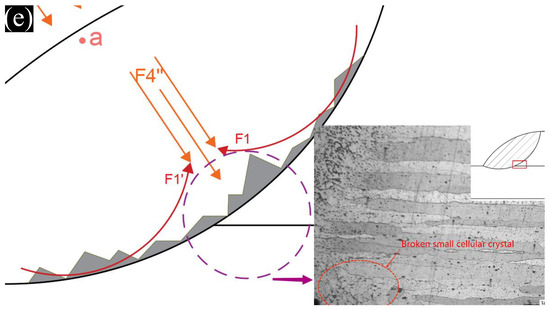 Microstructure, Fatigue Properties and Stress Concentration