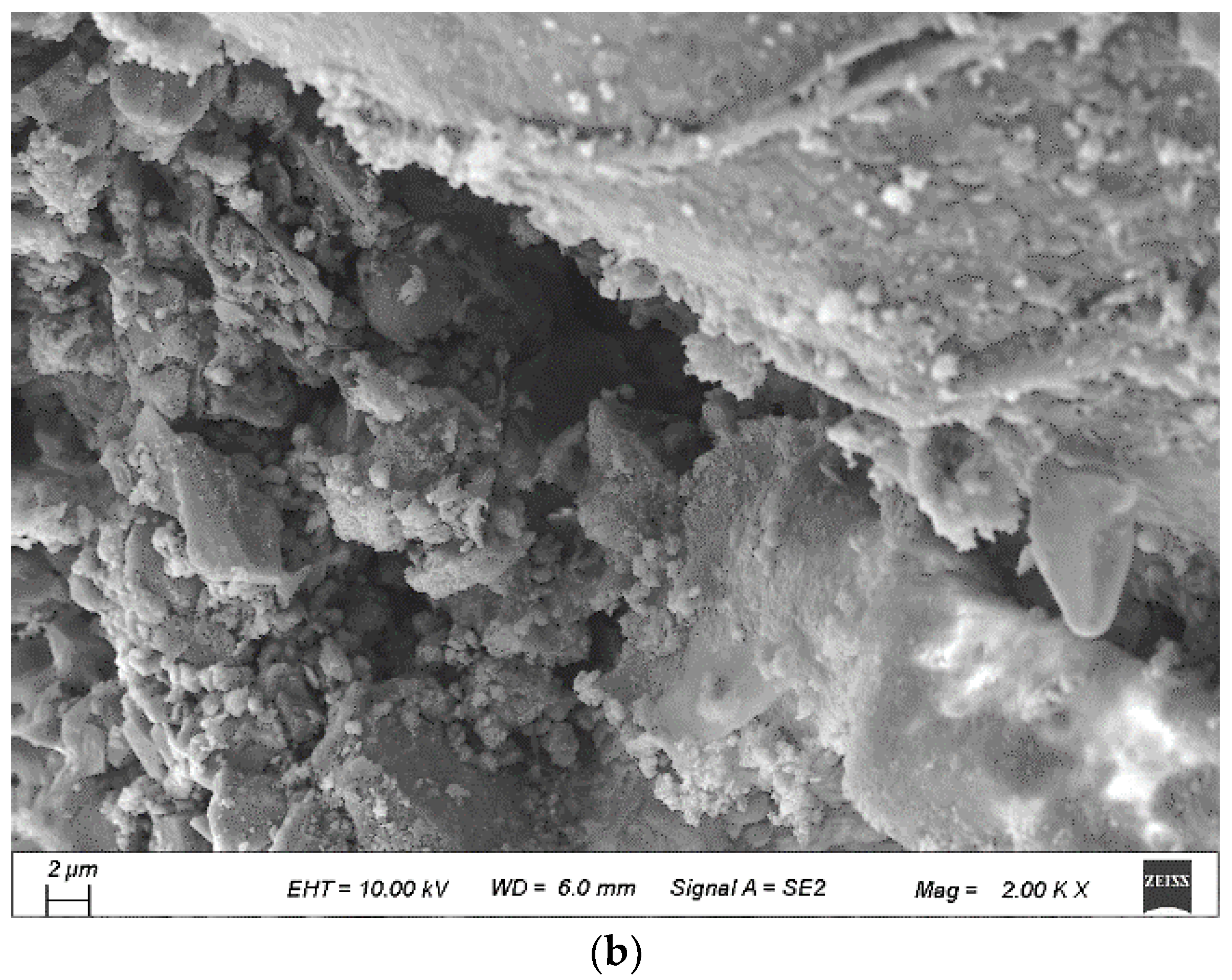 Materials 15 07730 g017b Materials 15 07730 g017b