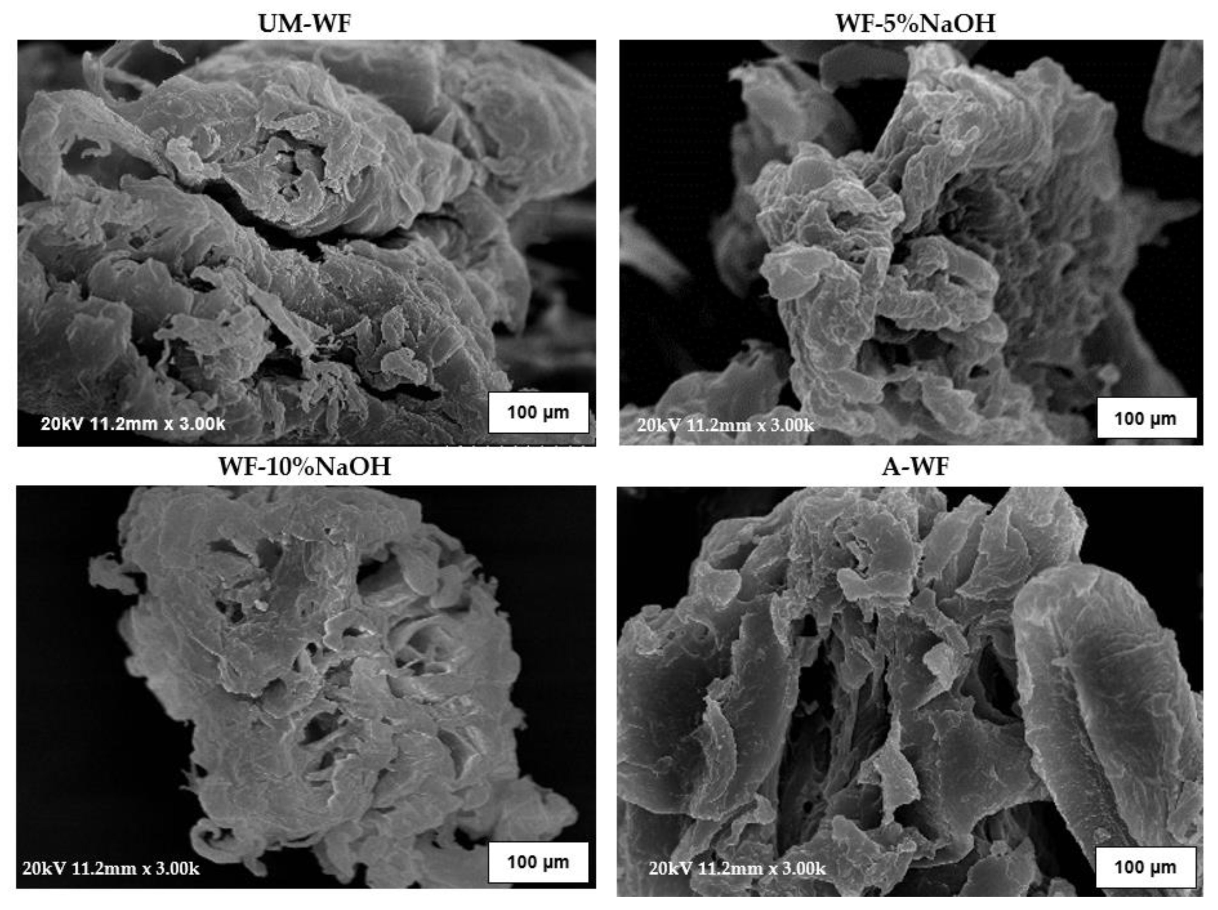 Materials 15 07737 g004 Materials 15 07737 g004