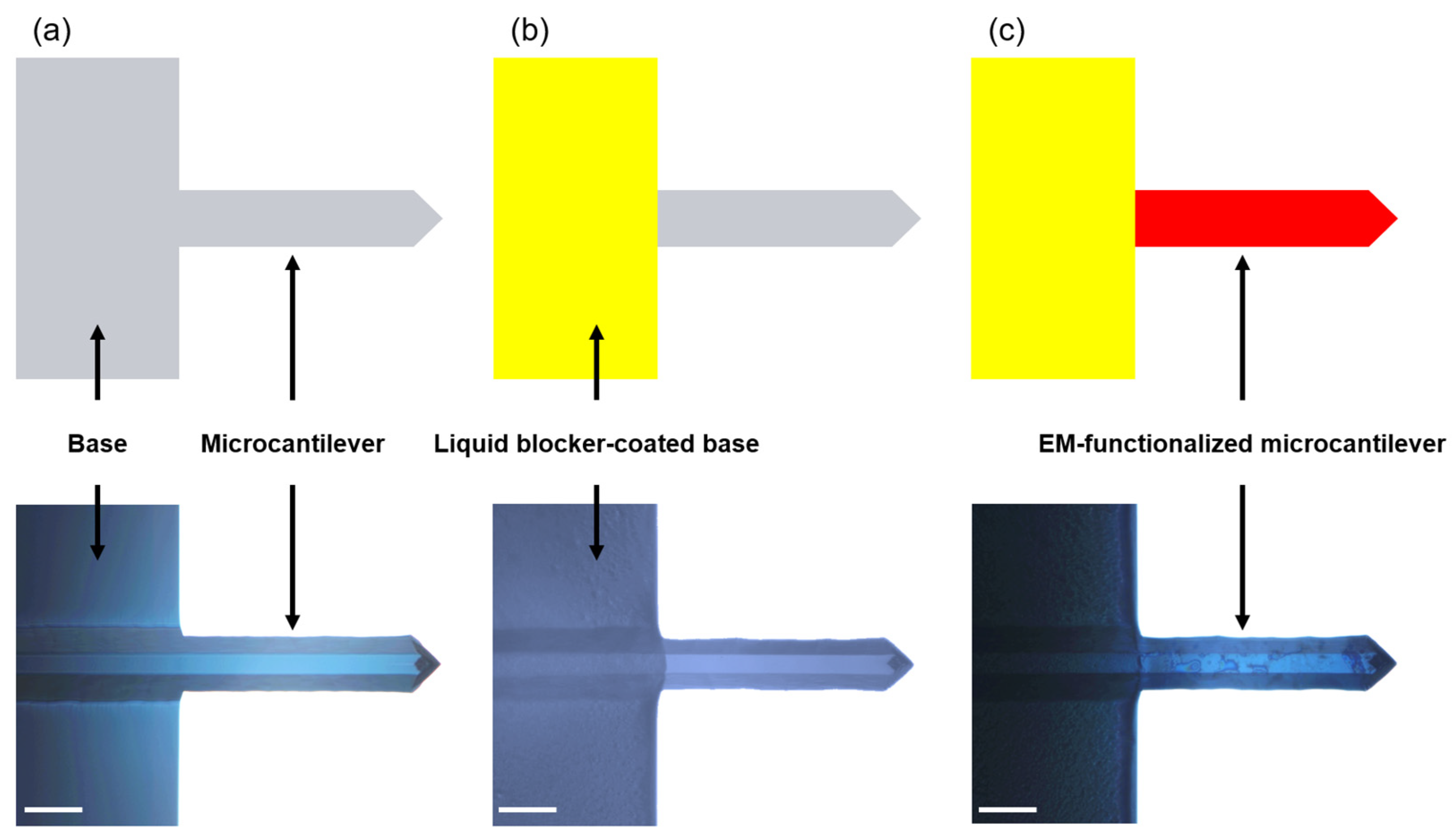 Materials 15 07738 g002