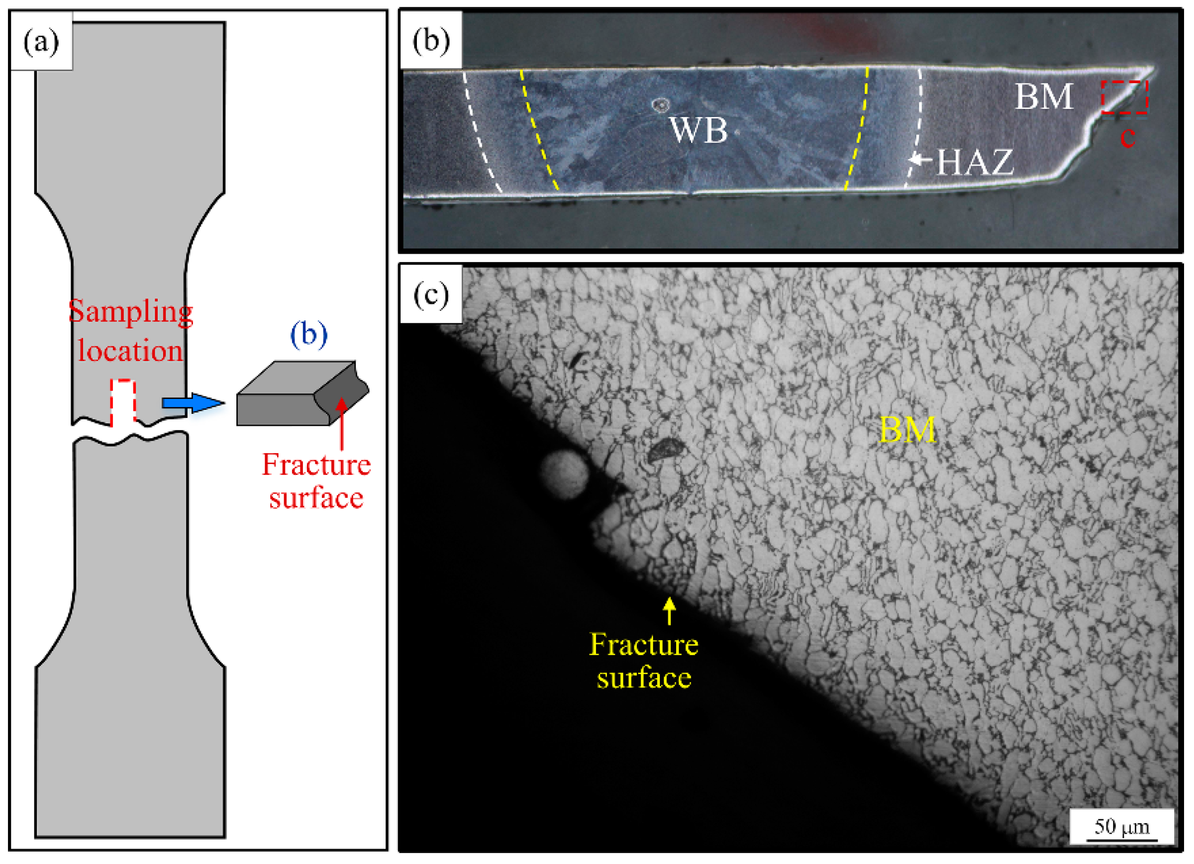 Materials 15 07742 g013 Materials 15 07742 g013
