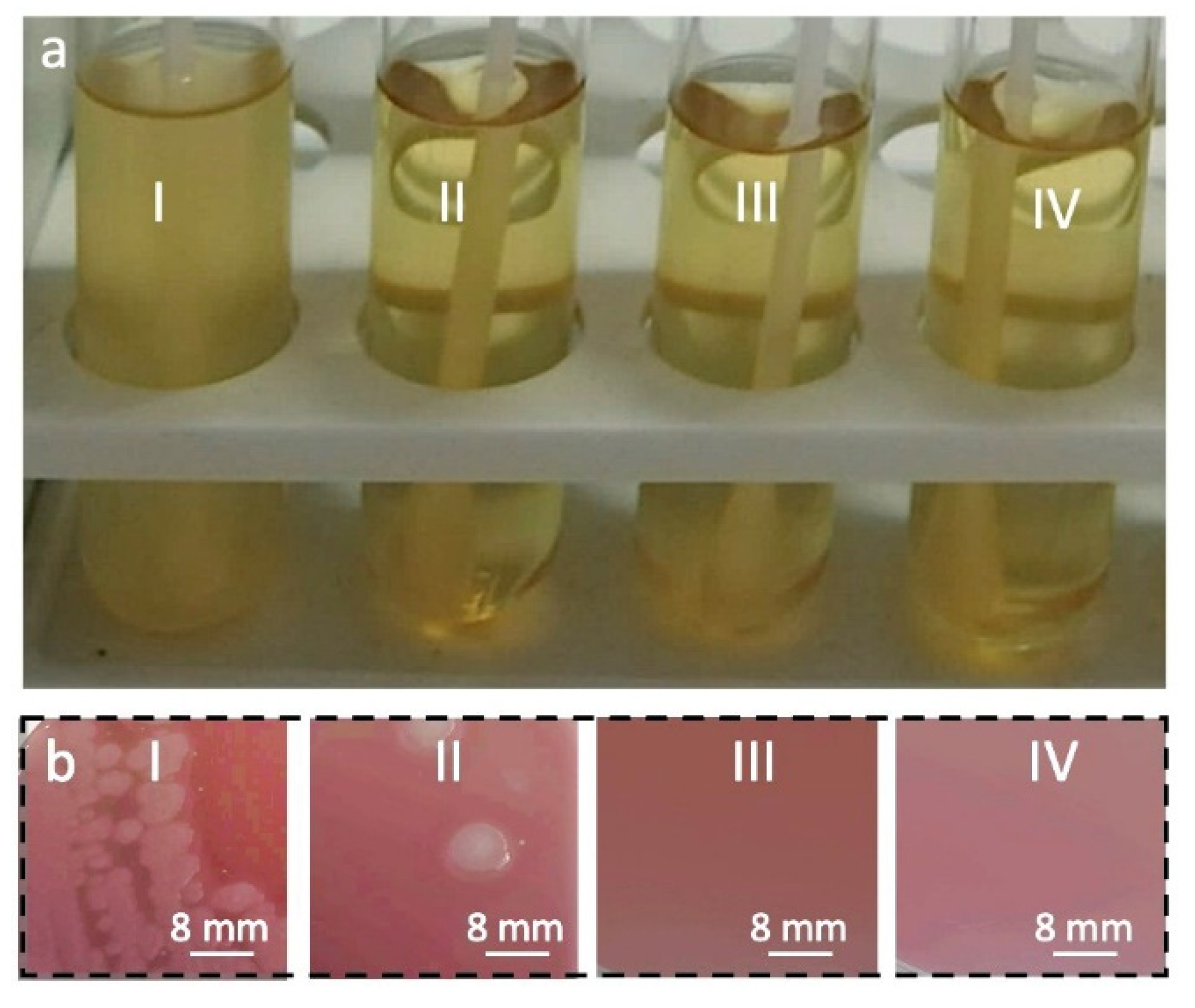 Materials 15 07749 g001 Materials 15 07749 g001