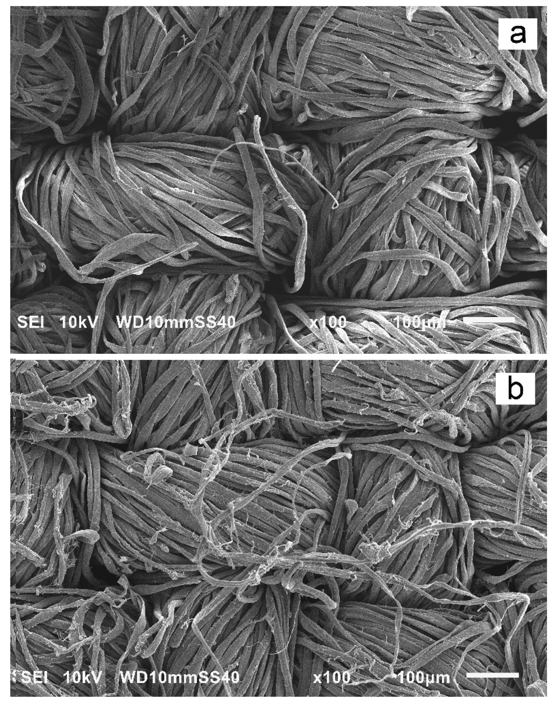 Materials 15 07749 g005 Materials 15 07749 g005