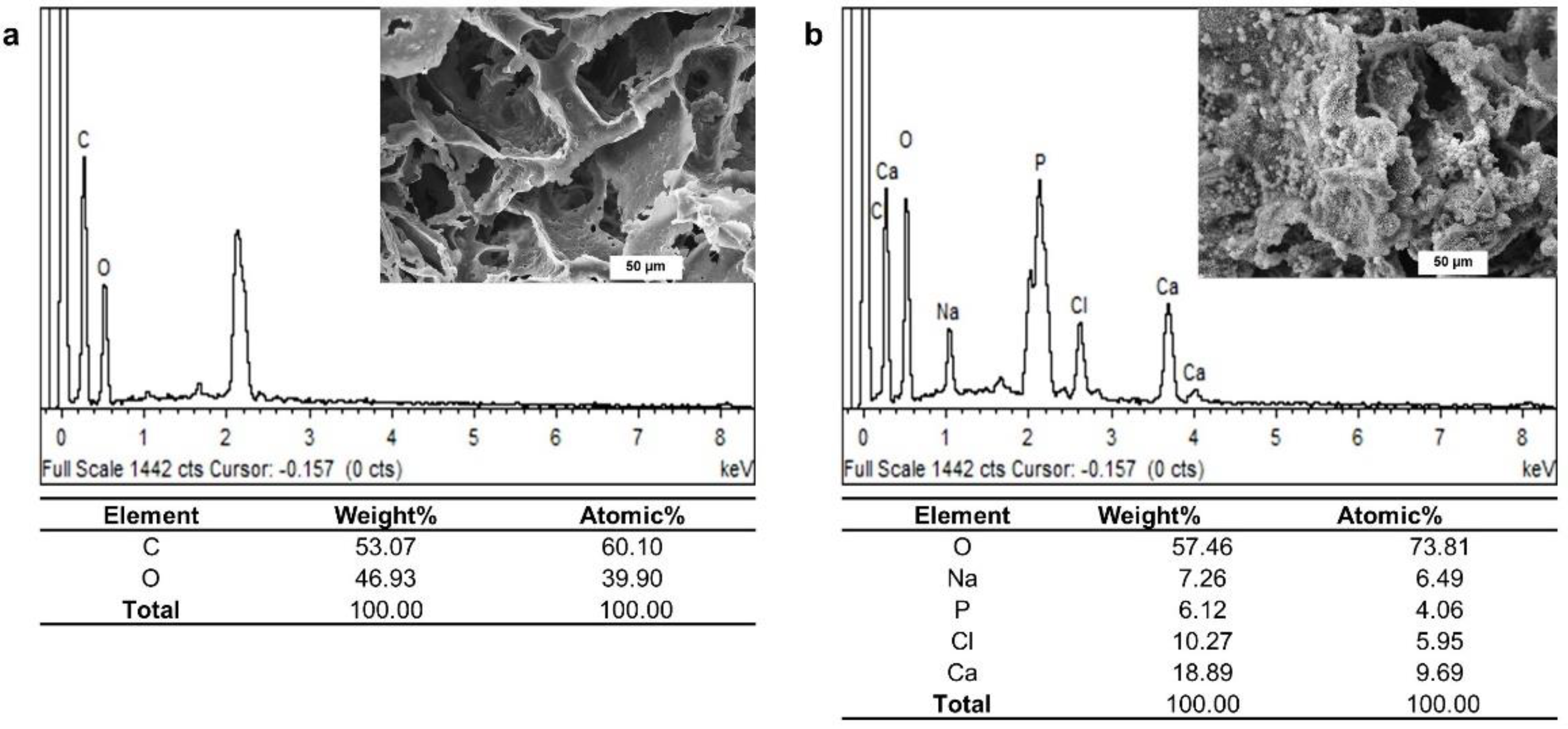 Materials 15 07756 g006 Materials 15 07756 g006