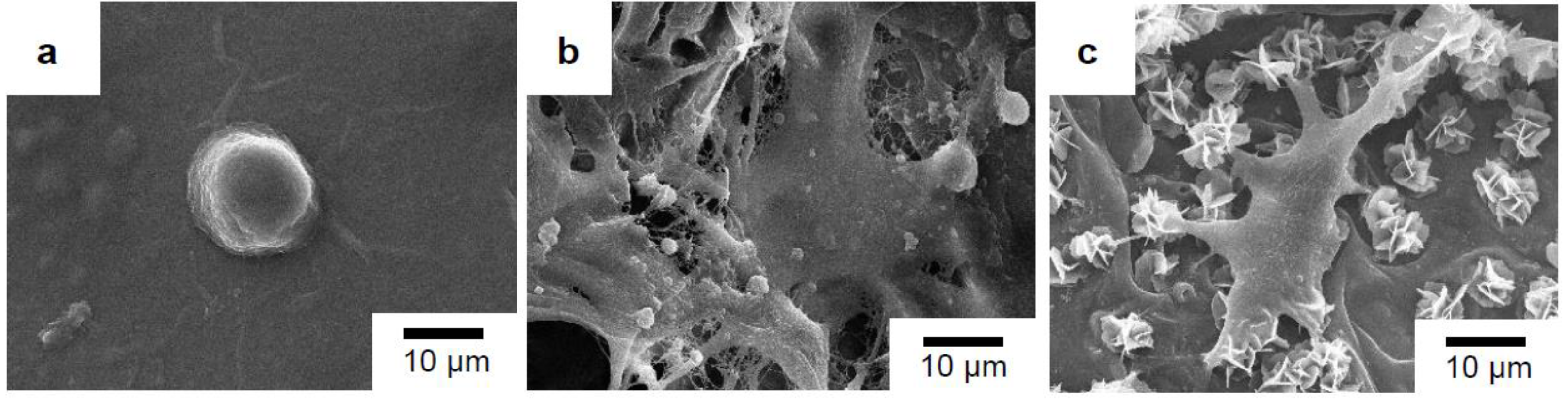 Materials 15 07756 g012 Materials 15 07756 g012