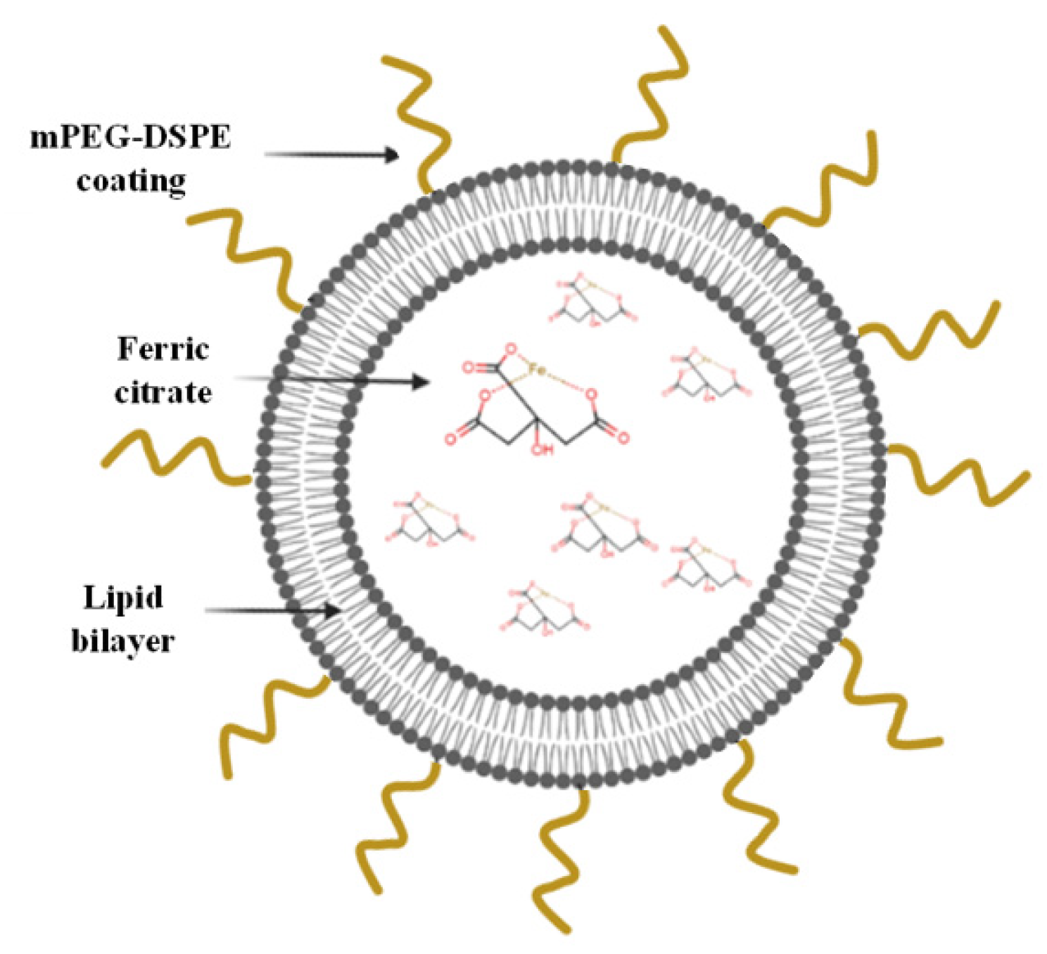 Materials 15 07779 g001 Materials 15 07779 g001
