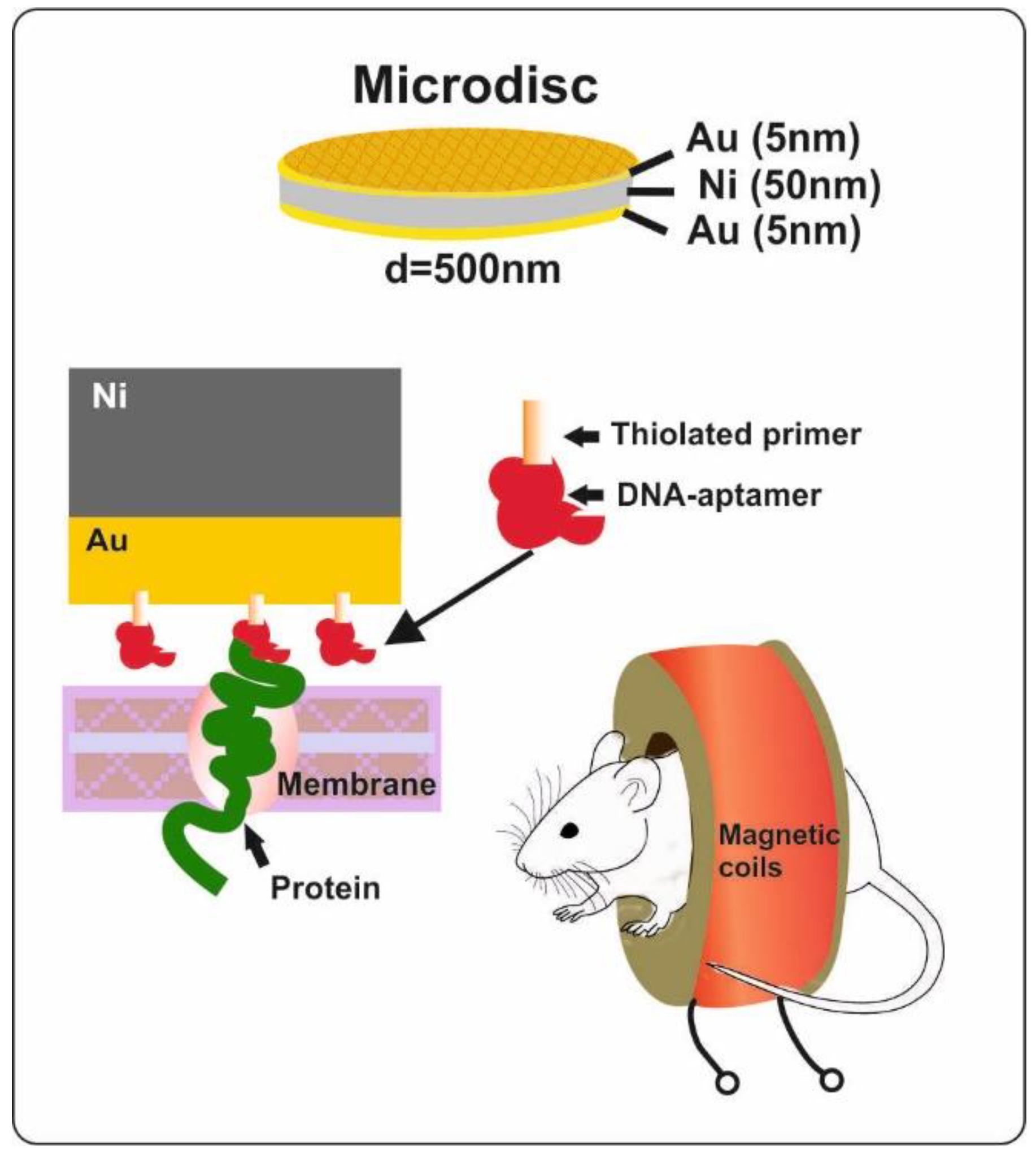 Materials 15 07781 g012 Materials 15 07781 g012