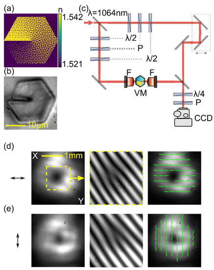 A Gaussian to Vector Vortex Beam Generator with a Programmable State of ...