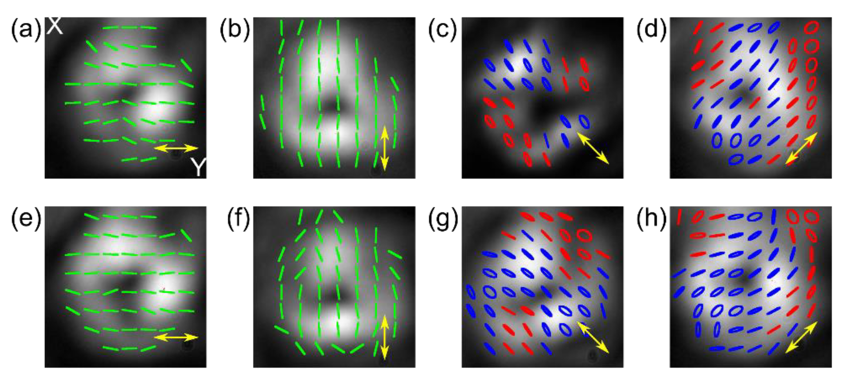 Materials 15 07794 g005 Materials 15 07794 g005