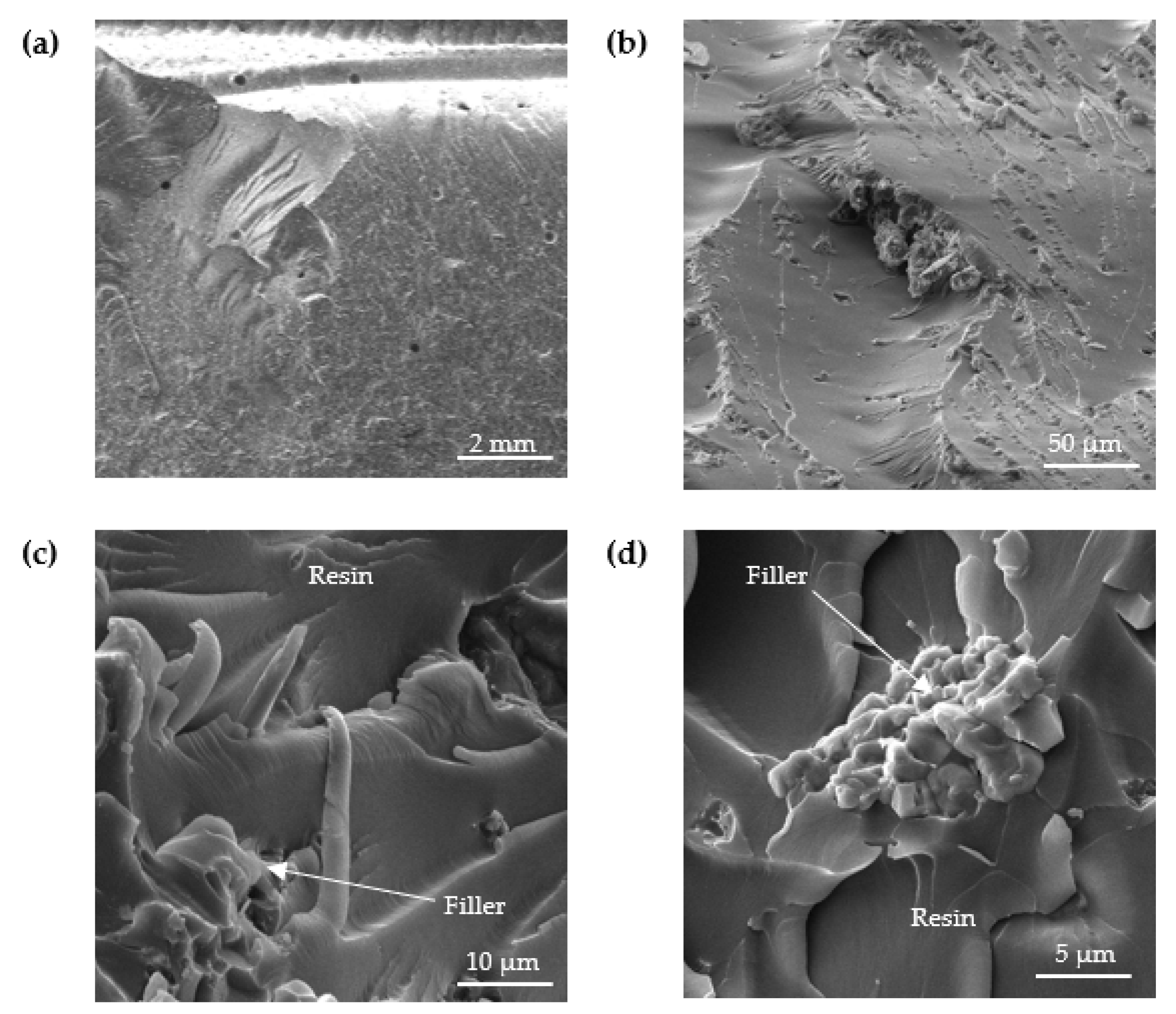 Materials 15 07799 g008