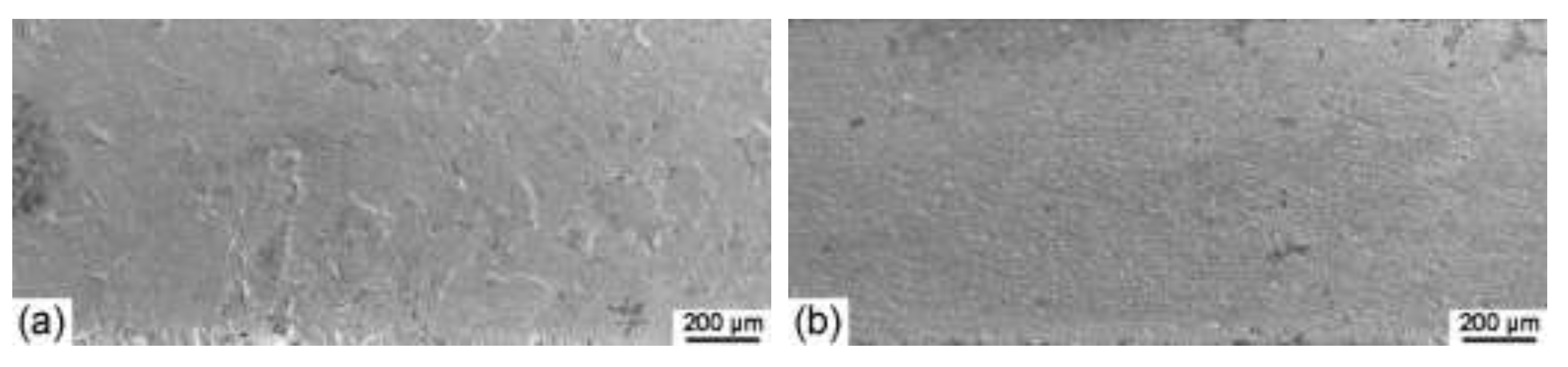 Materials 15 07806 g003a Materials 15 07806 g003a