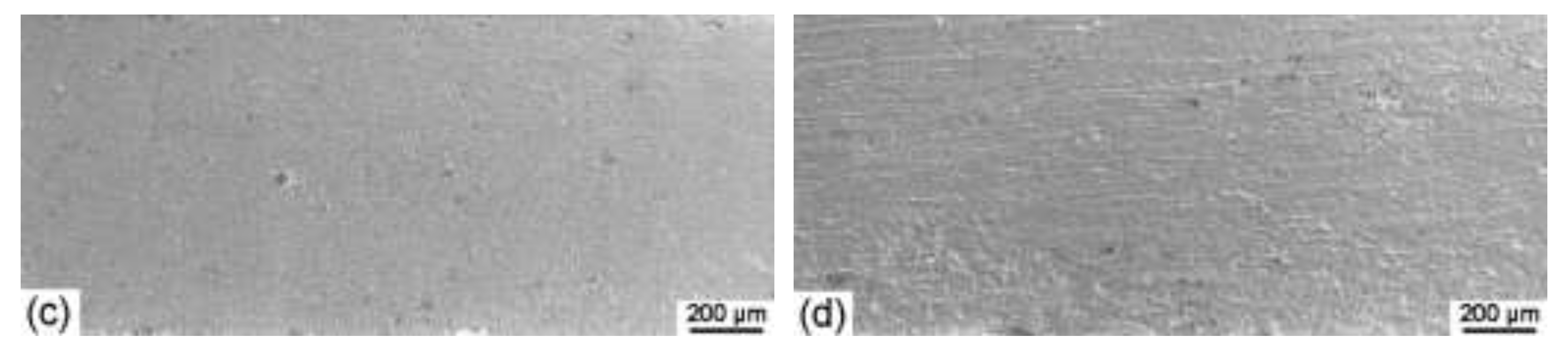 Materials 15 07806 g003b Materials 15 07806 g003b