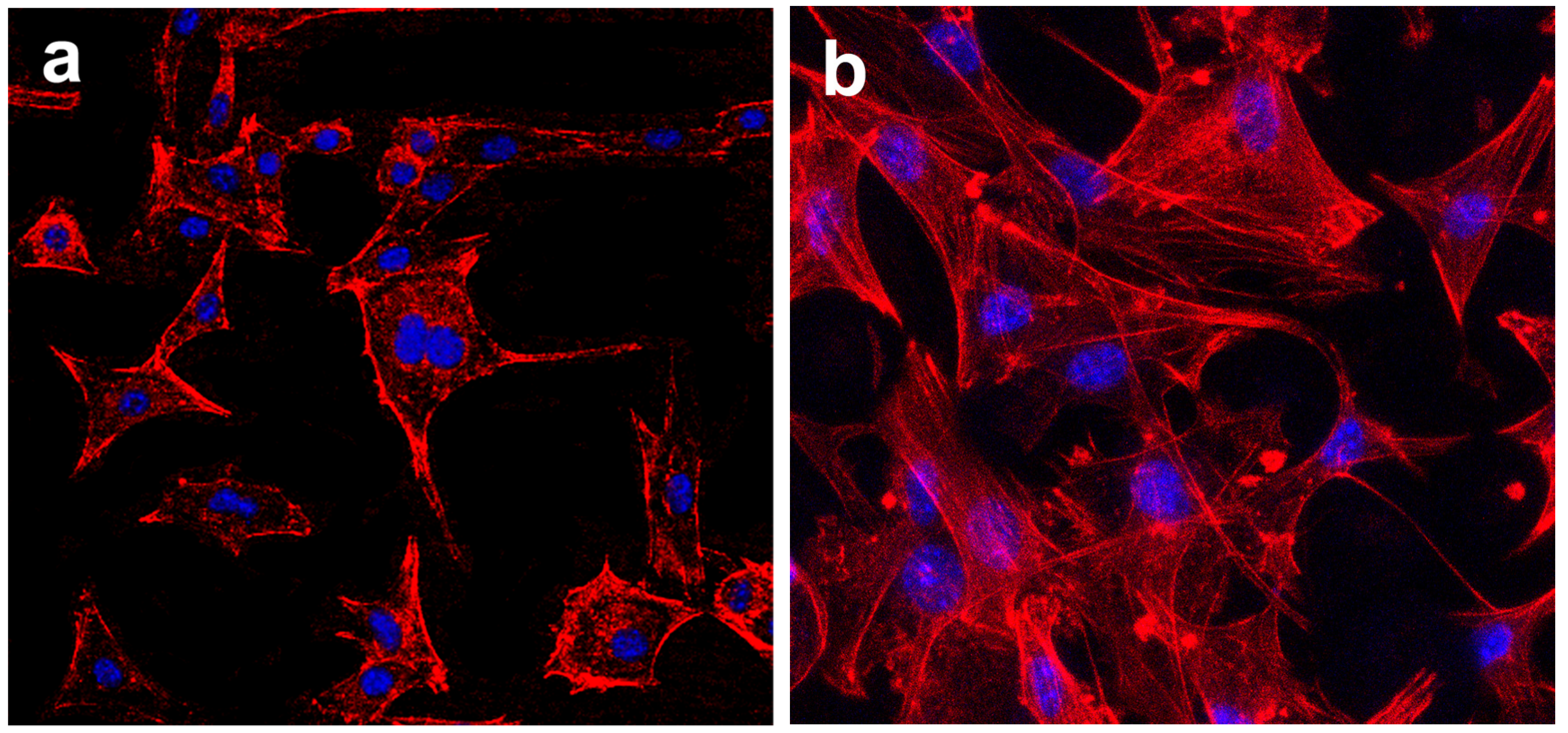 Materials 15 07811 g009 Materials 15 07811 g009