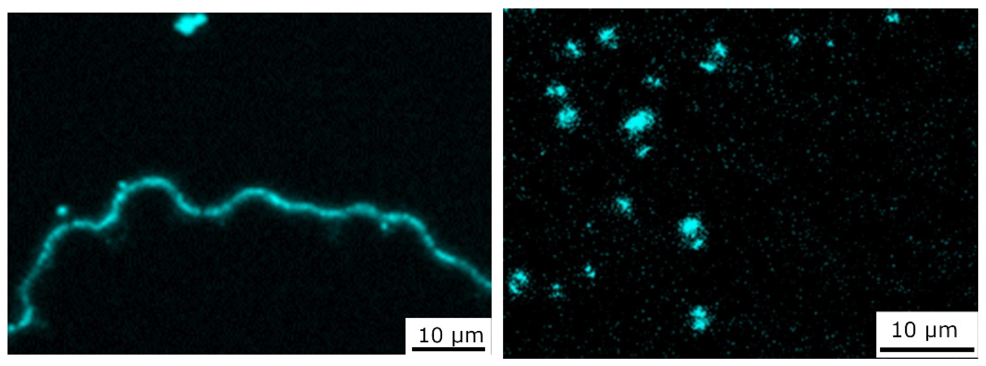 Materials 15 07812 g006