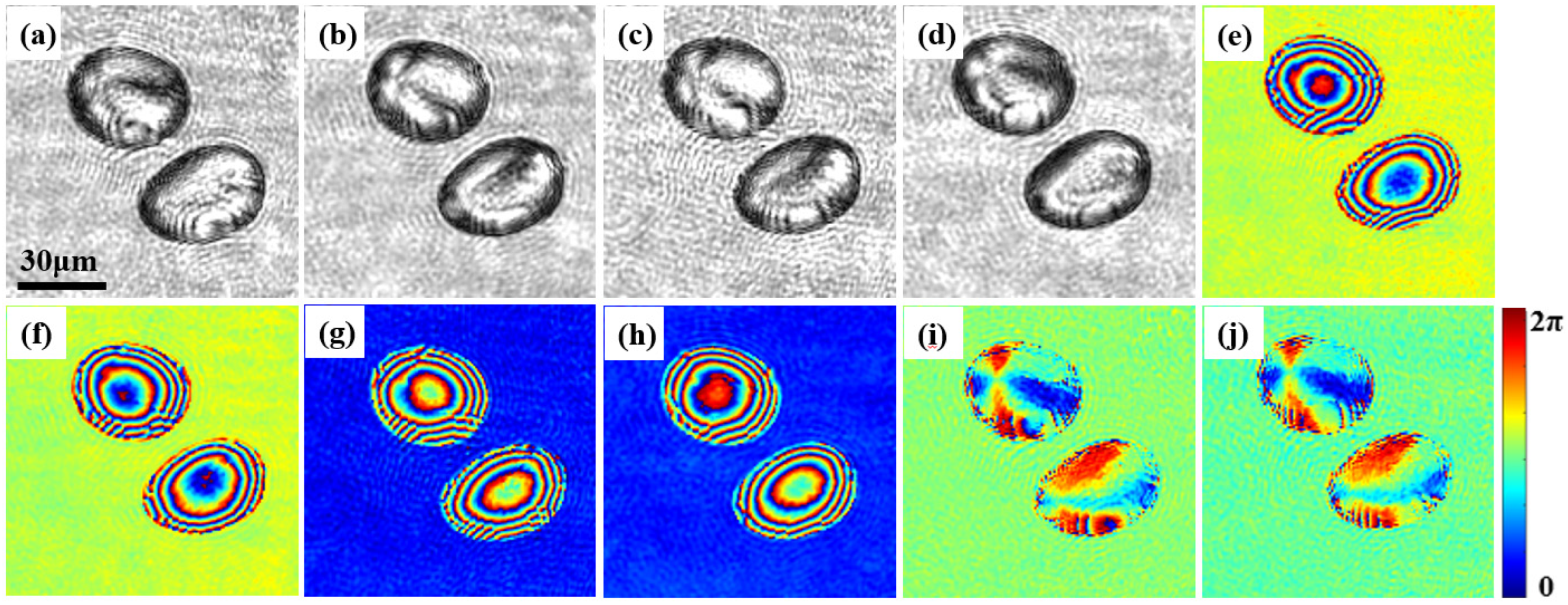 Materials 15 07813 g005 Materials 15 07813 g005