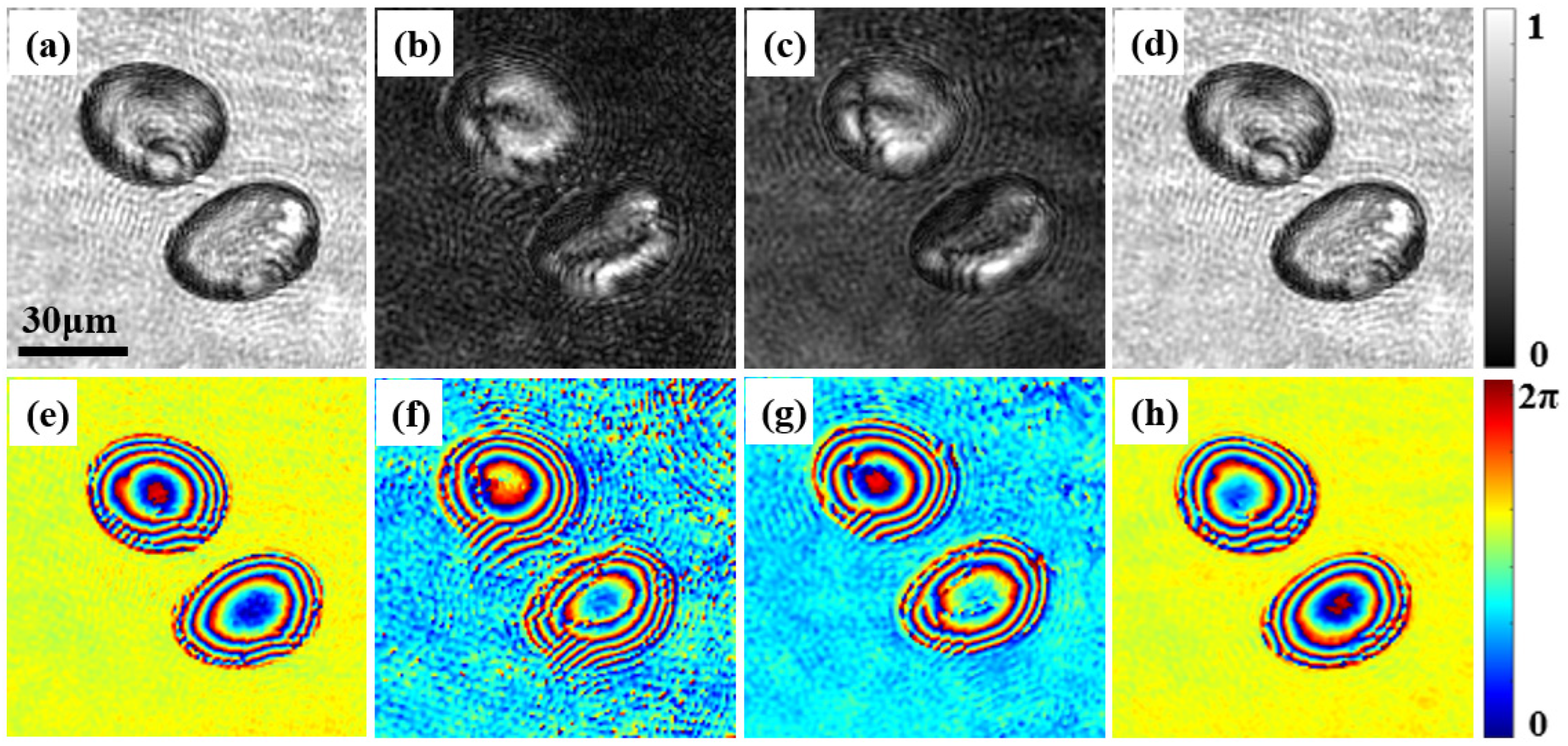 Materials 15 07813 g006 Materials 15 07813 g006