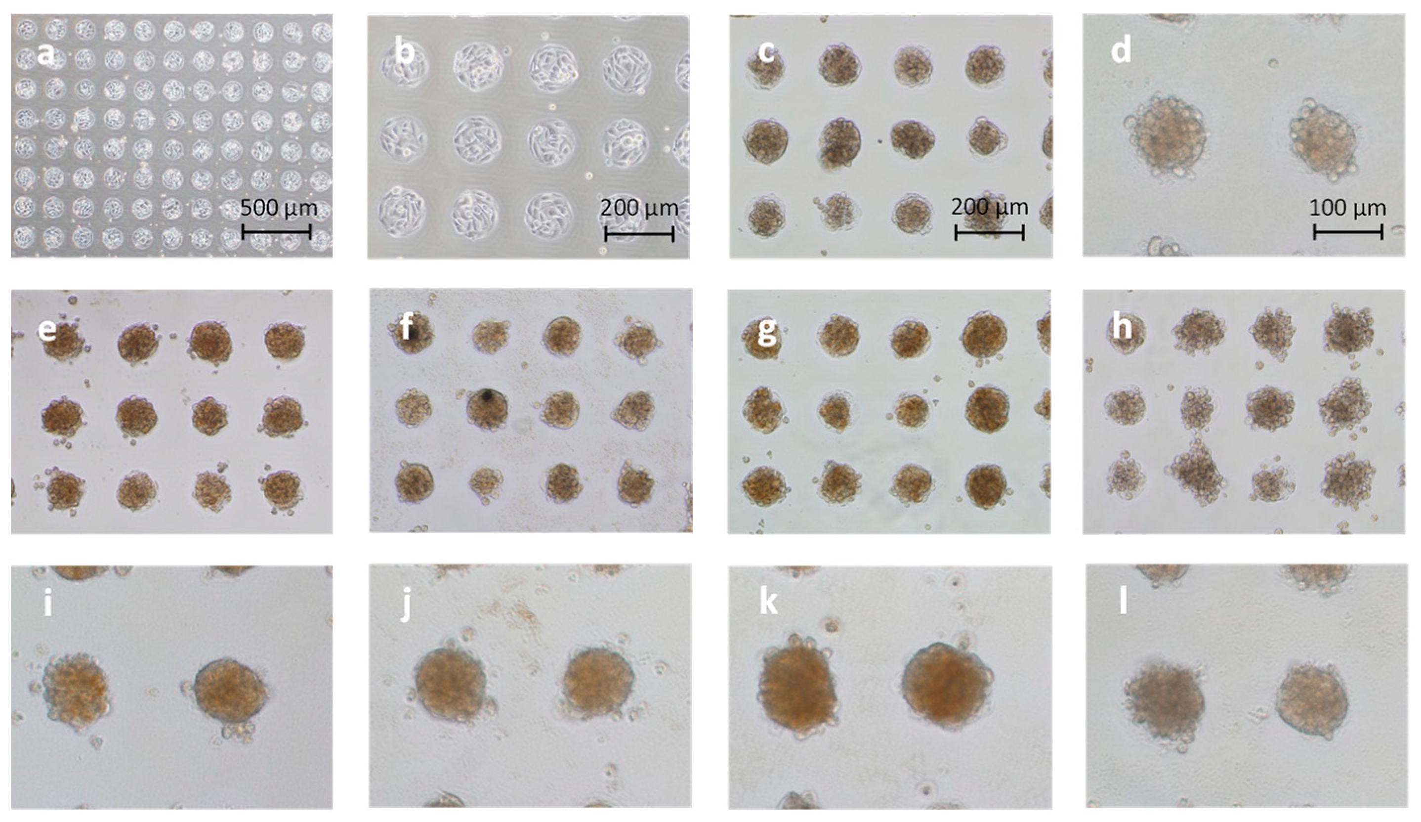 Materials 15 07823 g002