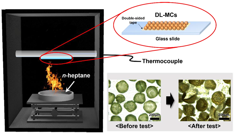 Materials 15 07831 g009 Materials 15 07831 g009