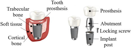 ZERO 別冊　歯牙形態 Natural Tooth Morphology 美品 歯科 ZERO別冊 歯牙形態 Natural Tooth Morphology