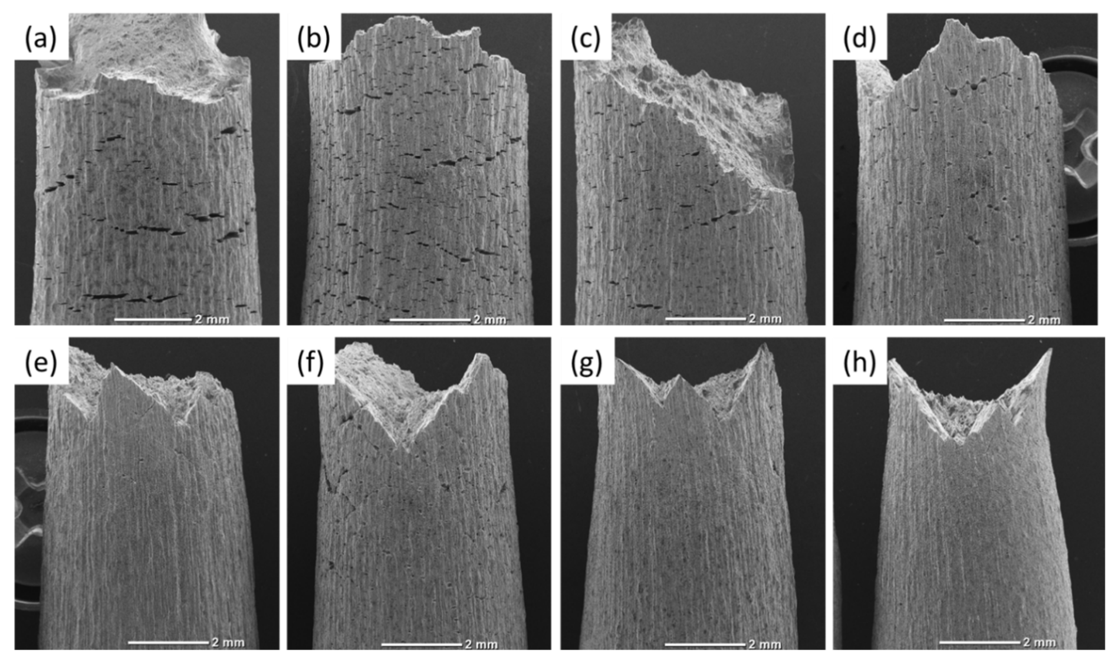 Materials 15 07862 g005