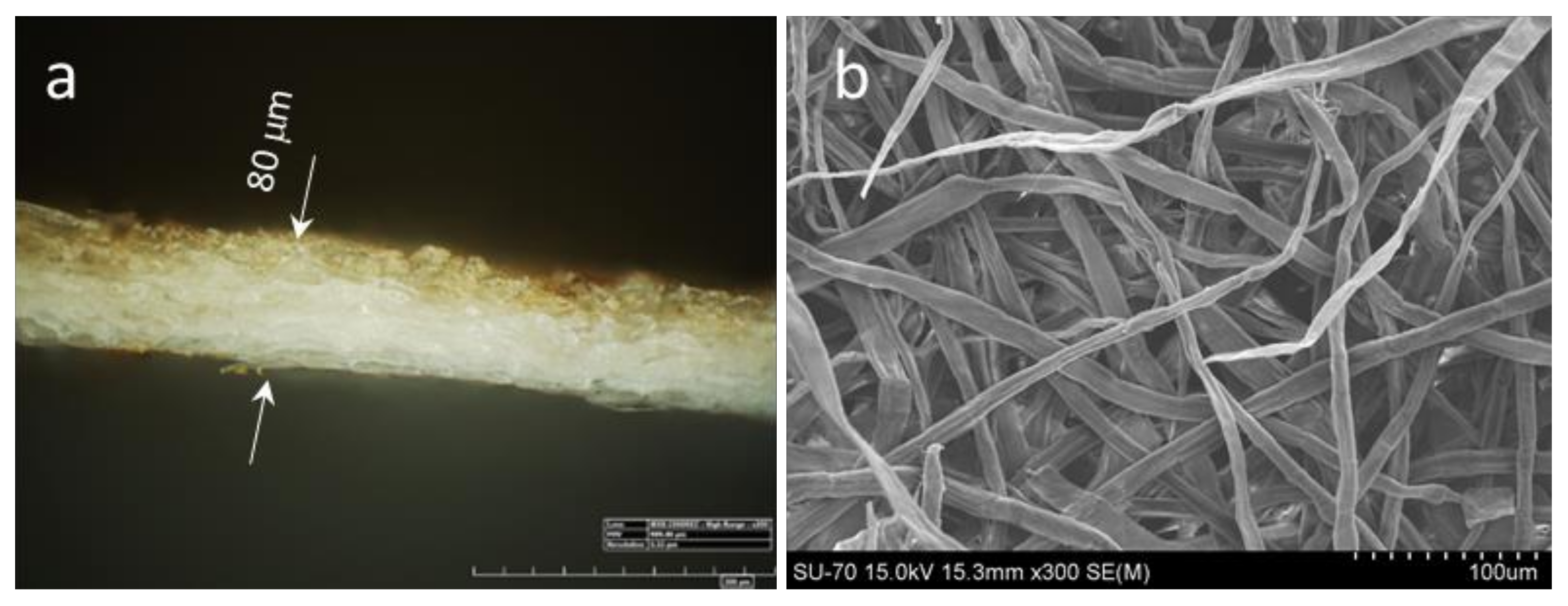 Materials 15 07869 g004