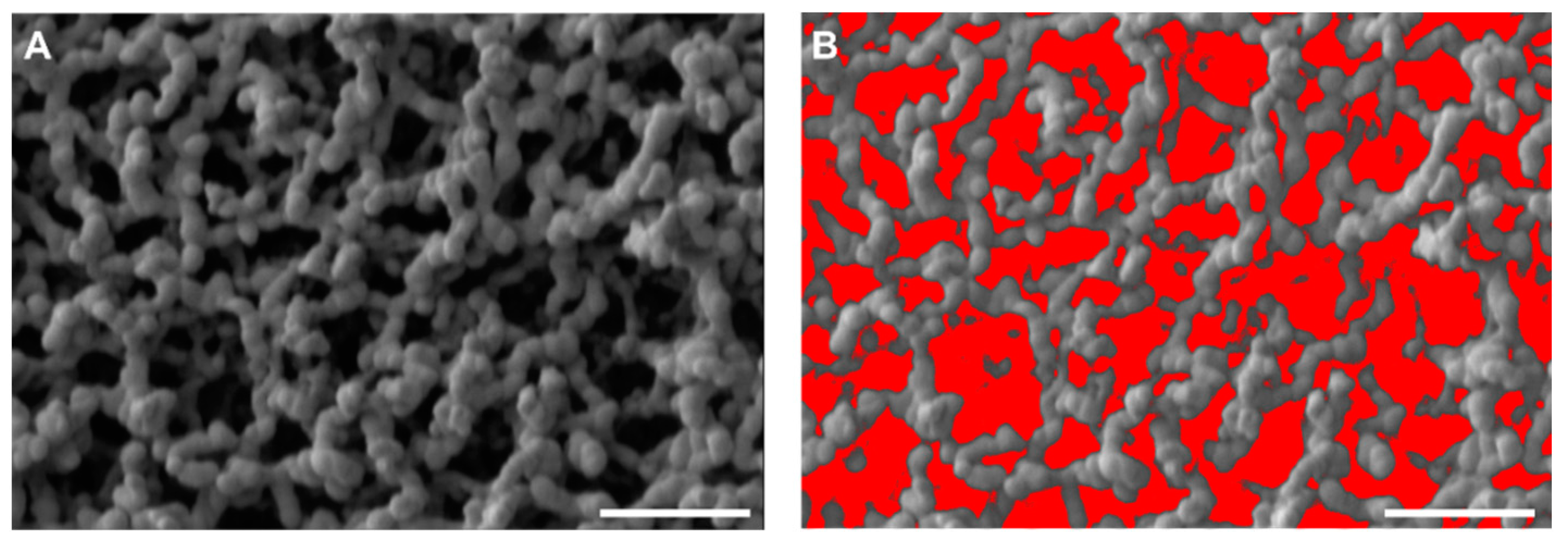 Materials 15 07903 g0a3 Materials 15 07903 g0a3