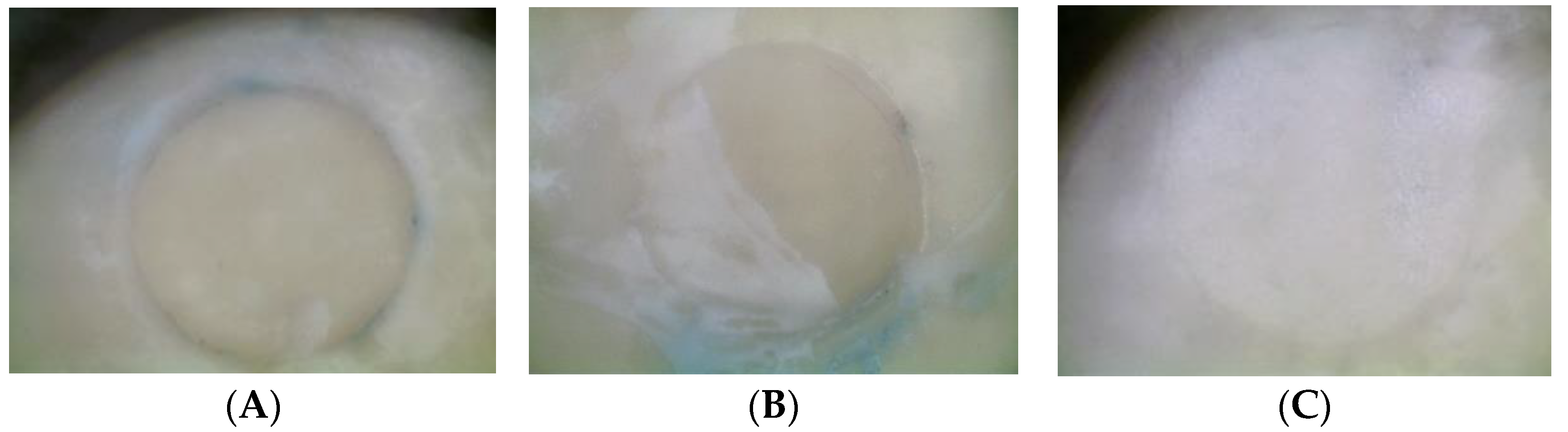 Materials 15 07905 g005 Materials 15 07905 g005