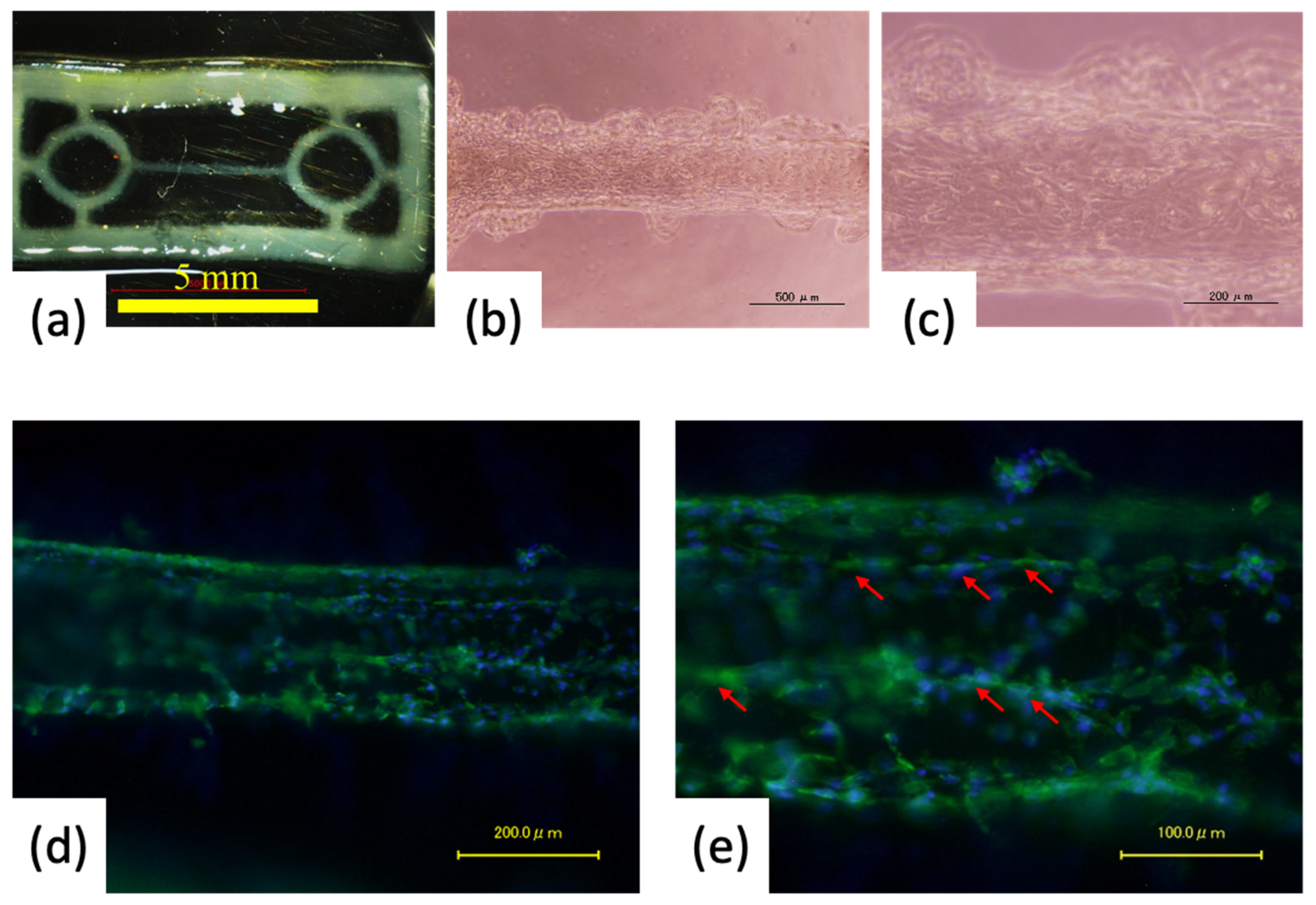 Materials 15 07928 g006 Materials 15 07928 g006