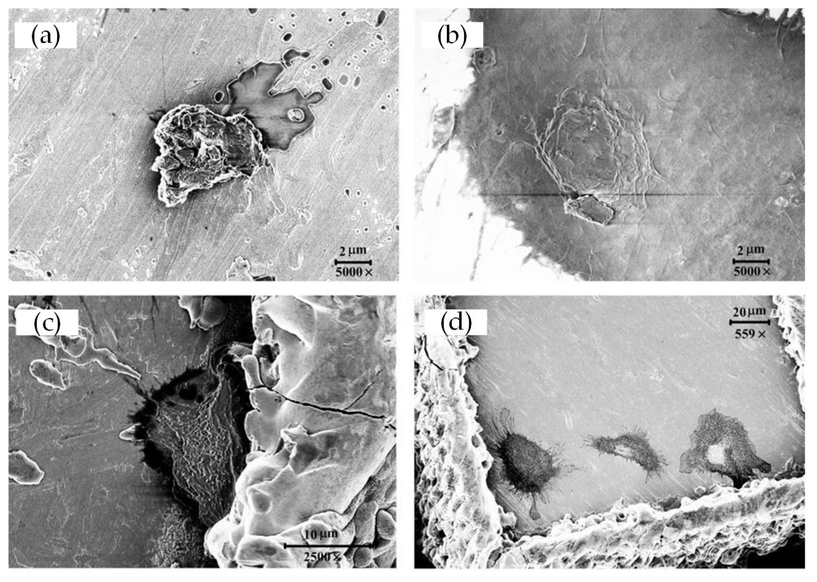 Materials 15 07942 g005 Materials 15 07942 g005