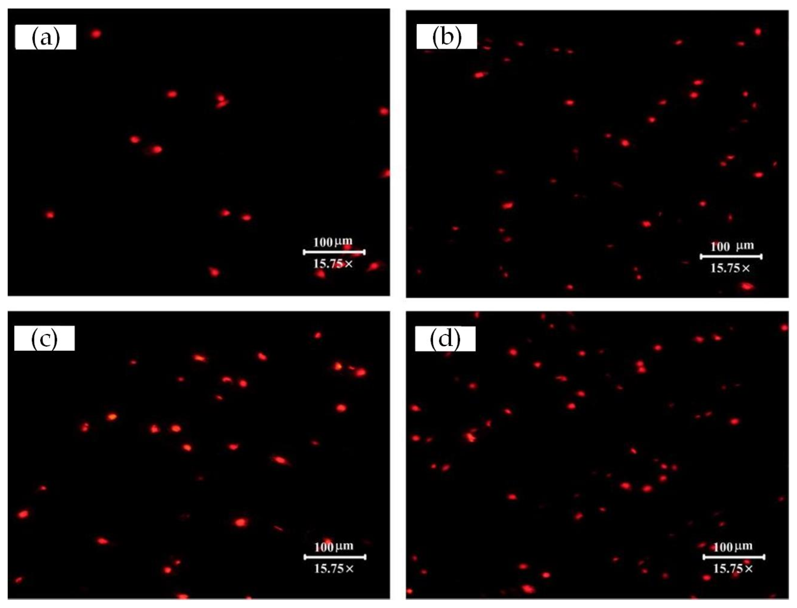 Materials 15 07942 g007 Materials 15 07942 g007