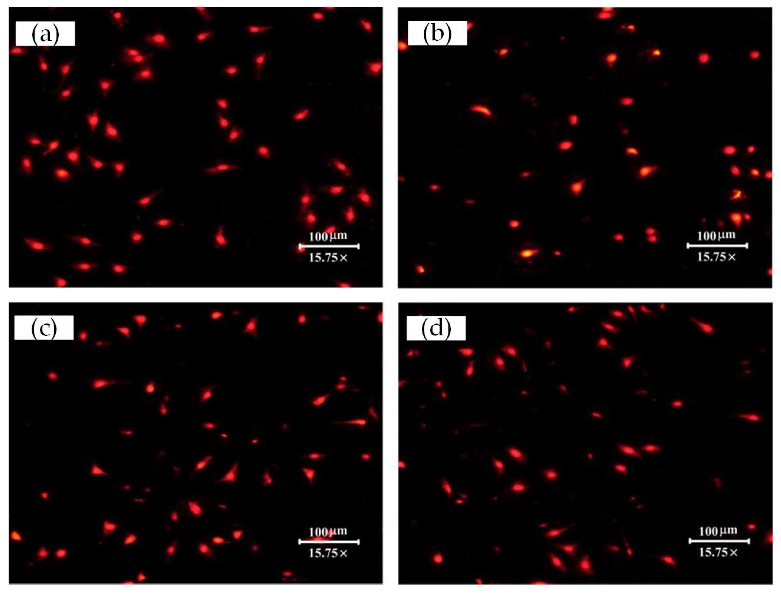 Materials 15 07942 g008 Materials 15 07942 g008