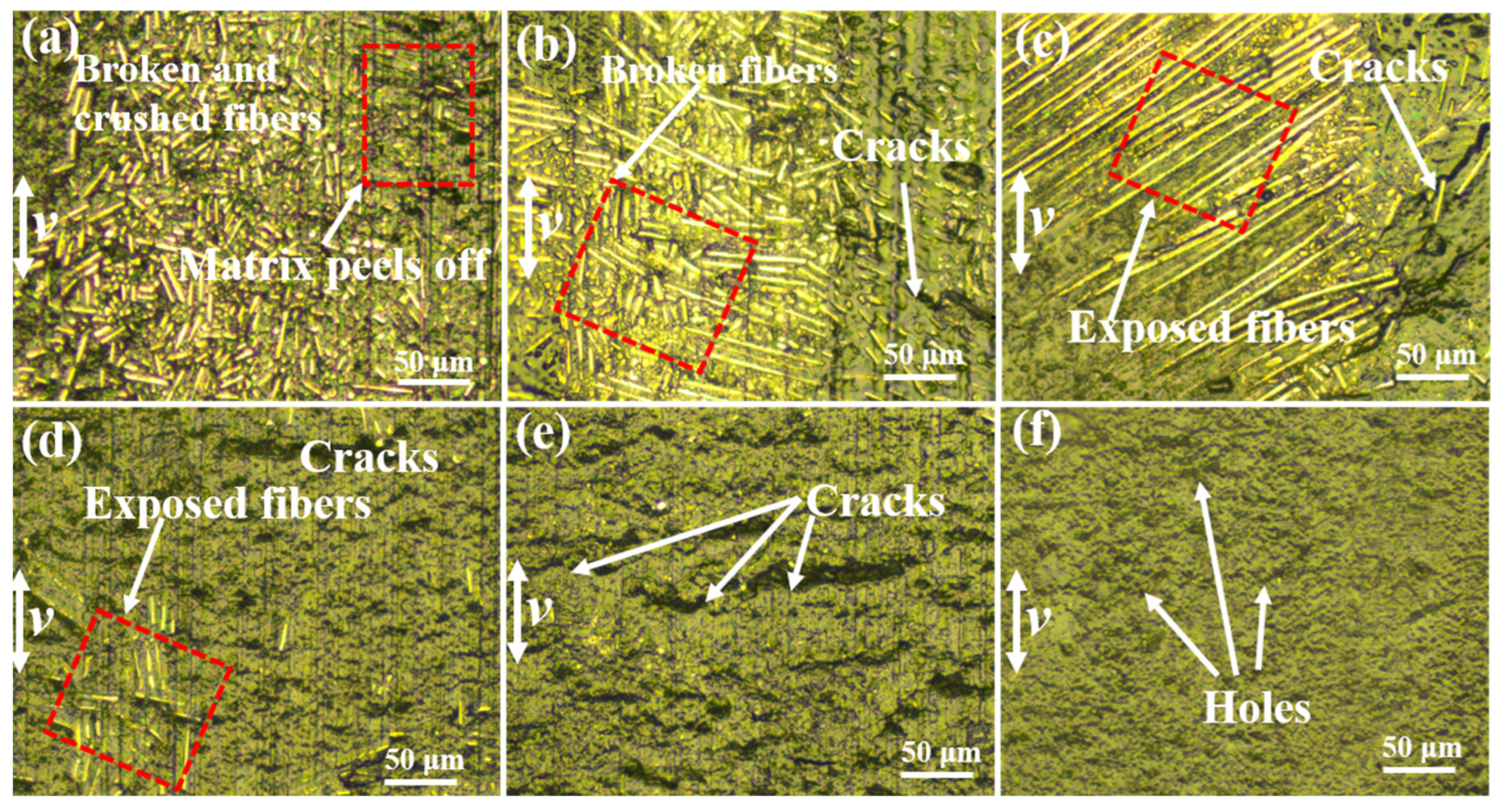 Materials 15 07951 g007