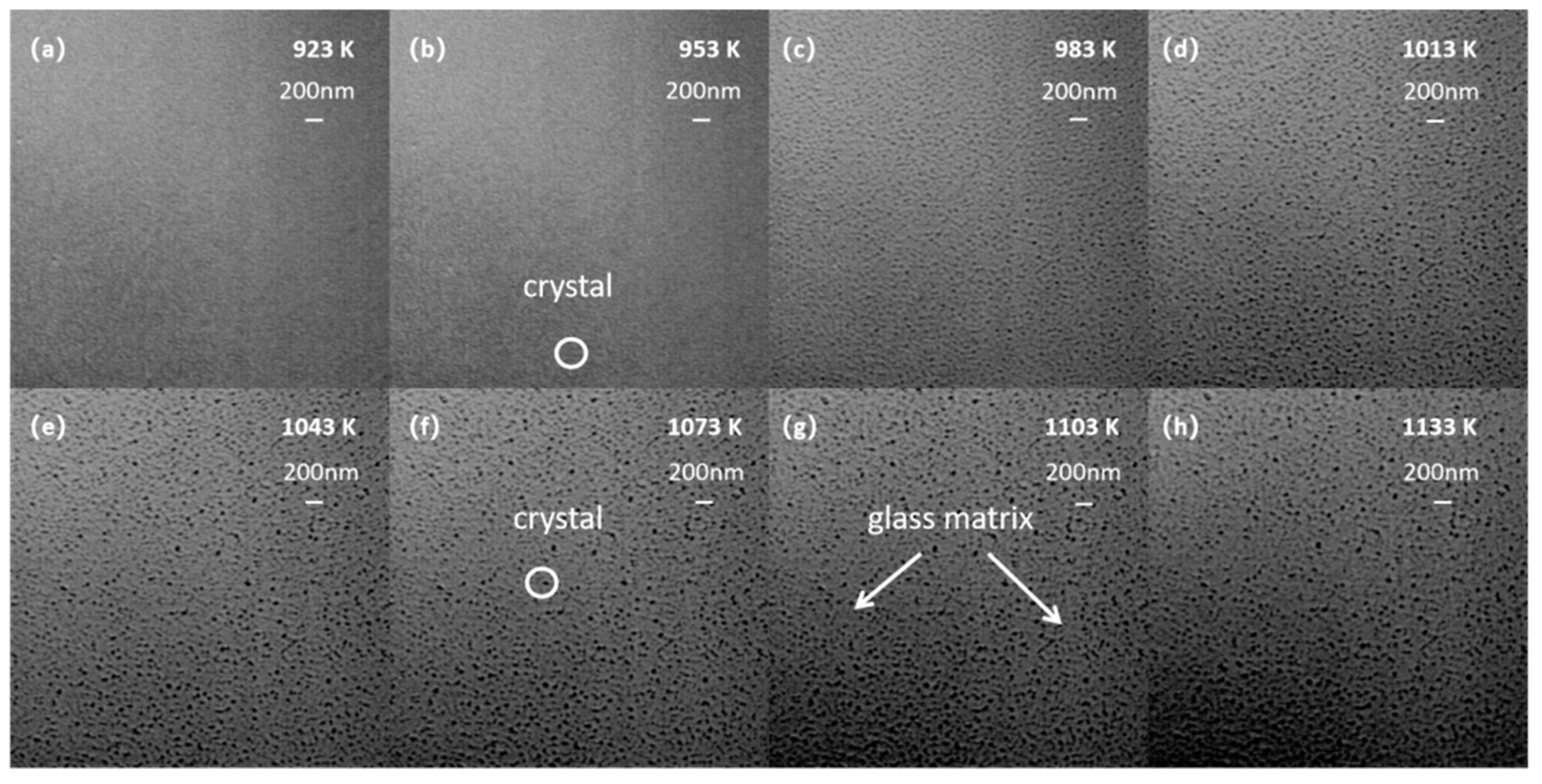Materials 15 08006 g006 Materials 15 08006 g006