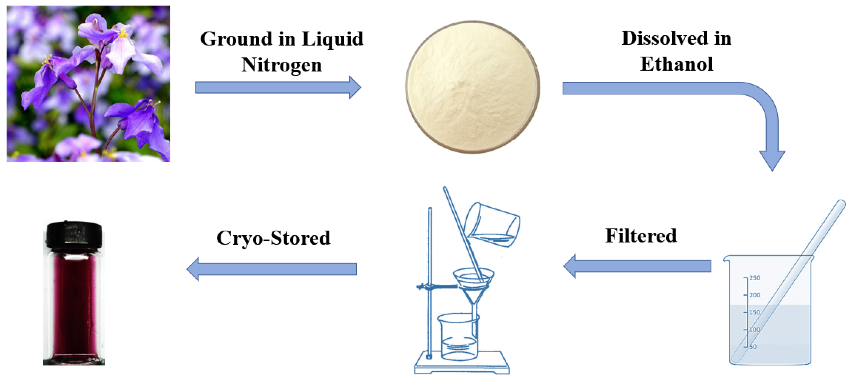 Materials 15 08033 g001 Materials 15 08033 g001