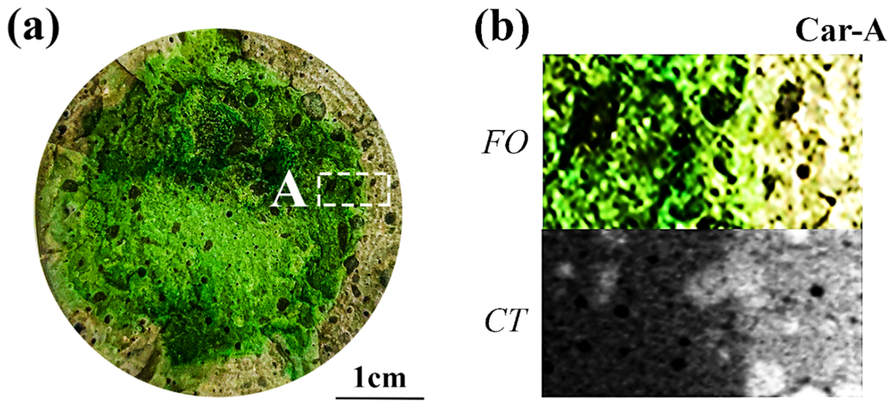 Materials 15 08033 g008a Materials 15 08033 g008a