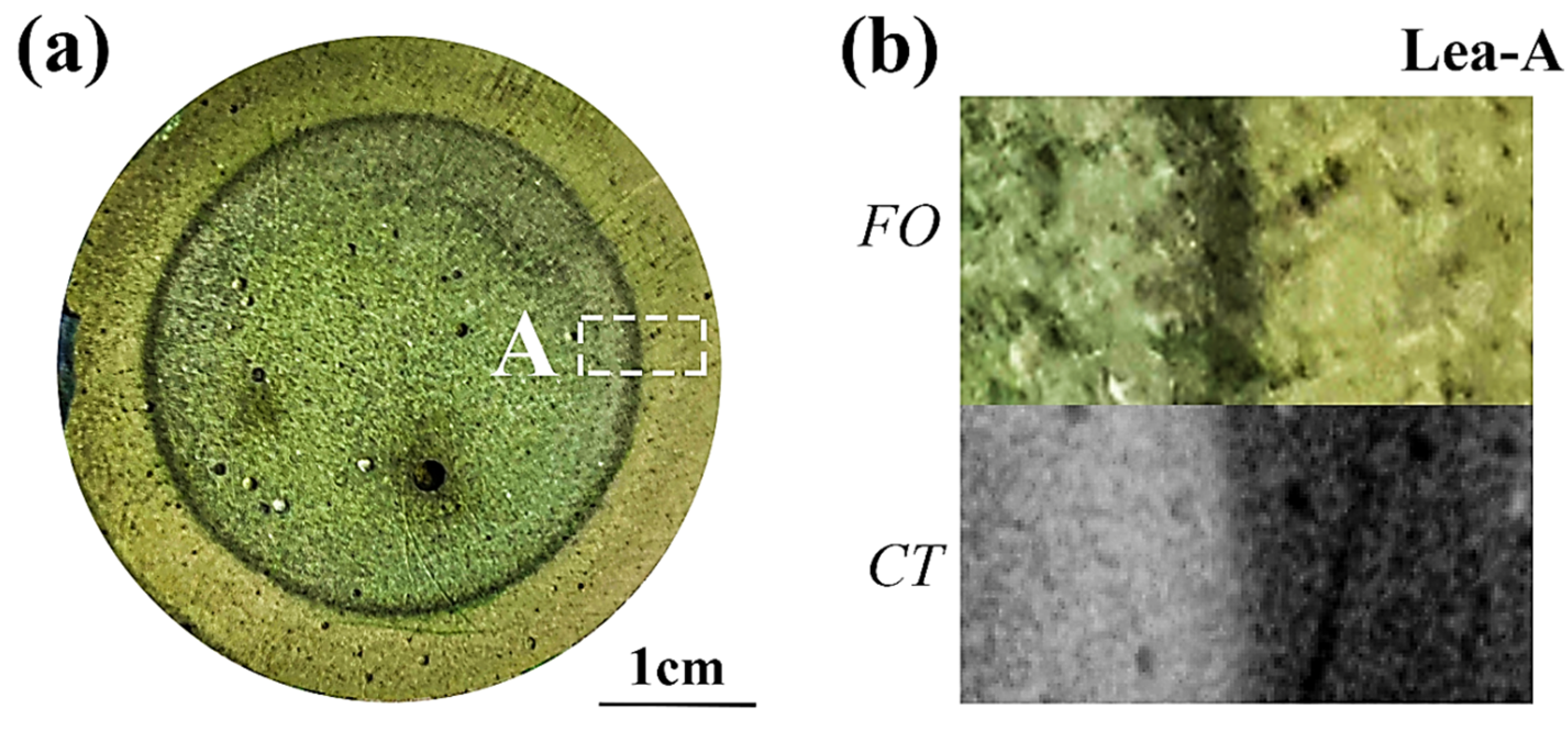 Materials 15 08033 g009a Materials 15 08033 g009a