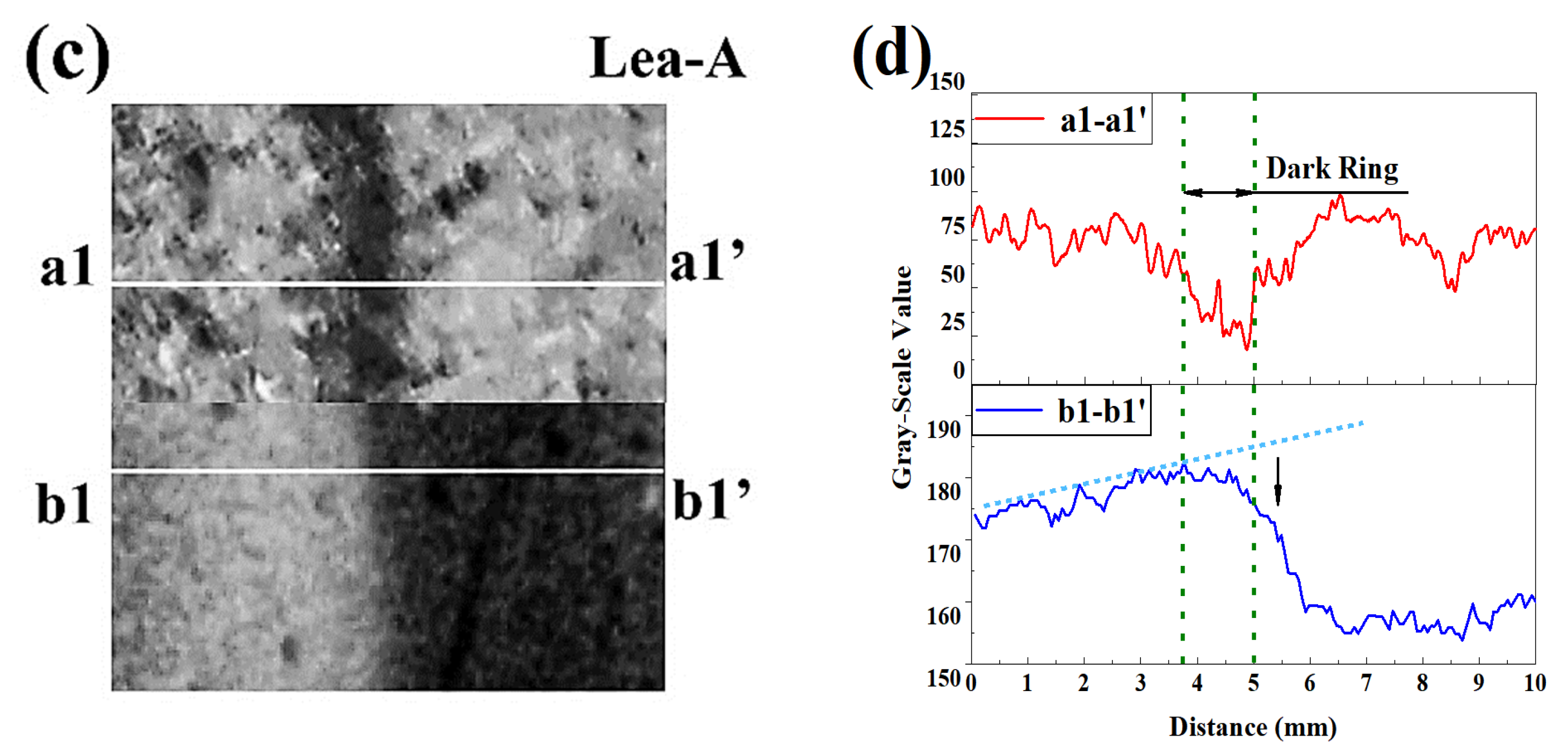 Materials 15 08033 g009b Materials 15 08033 g009b