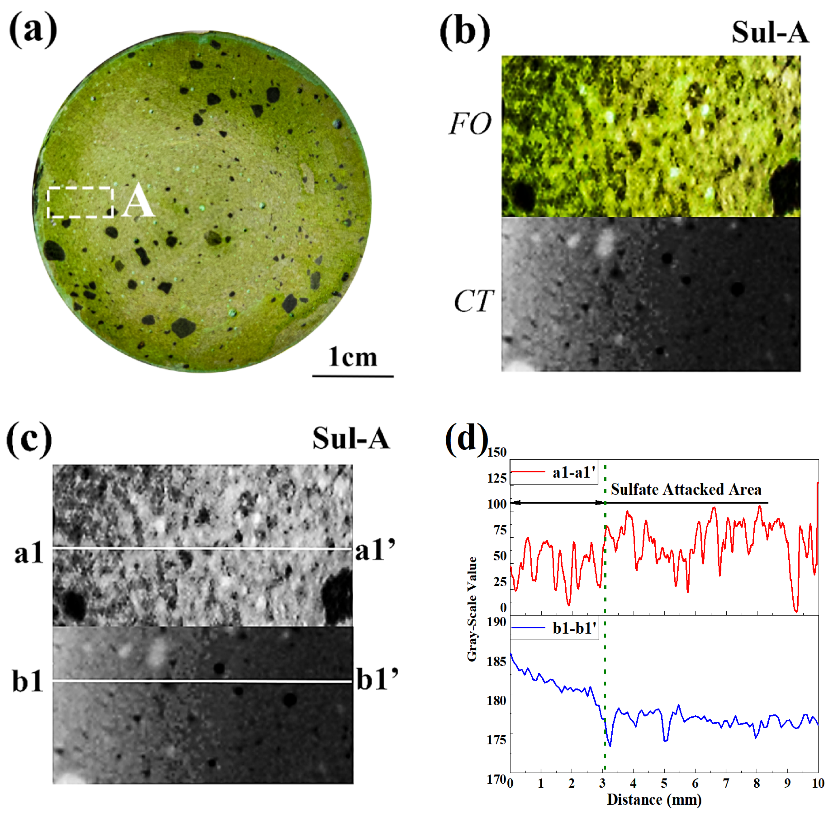 Materials 15 08033 g010 Materials 15 08033 g010
