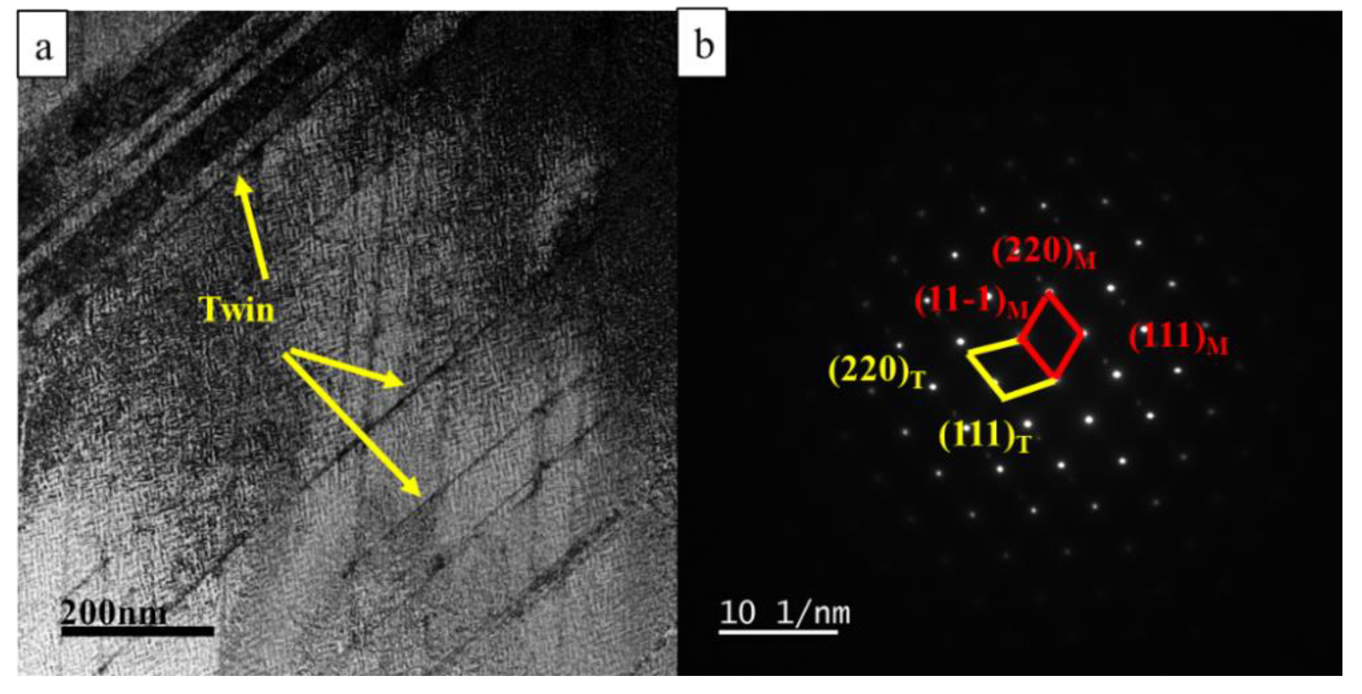 Materials 15 08042 g008