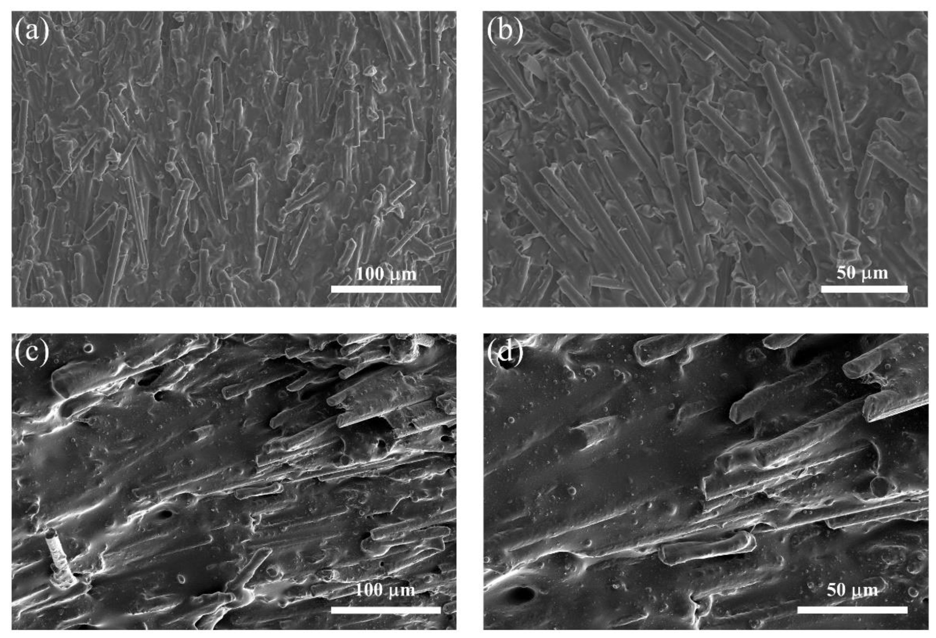 Materials 15 08078 g004