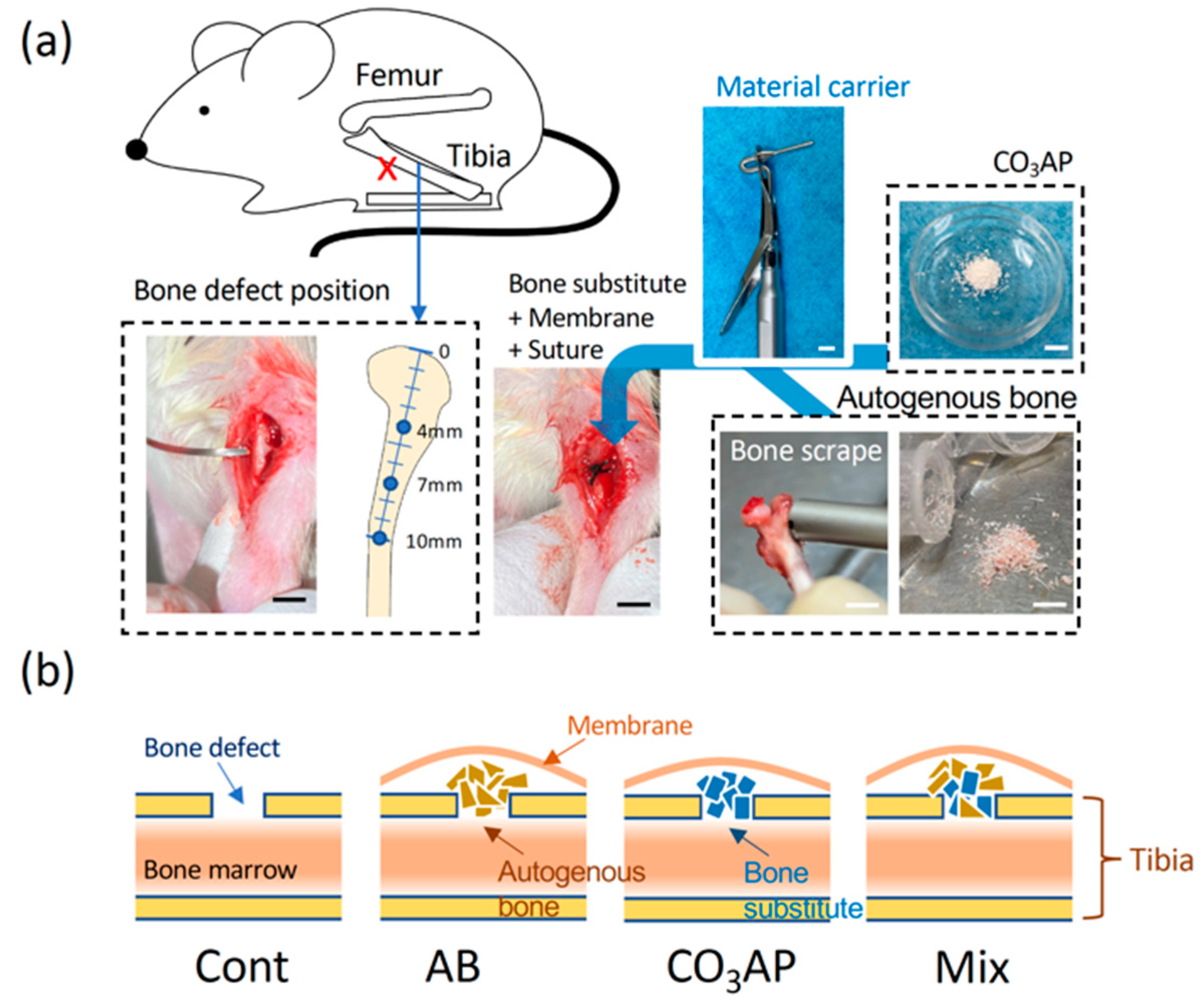 Materials 15 08100 g002 Materials 15 08100 g002