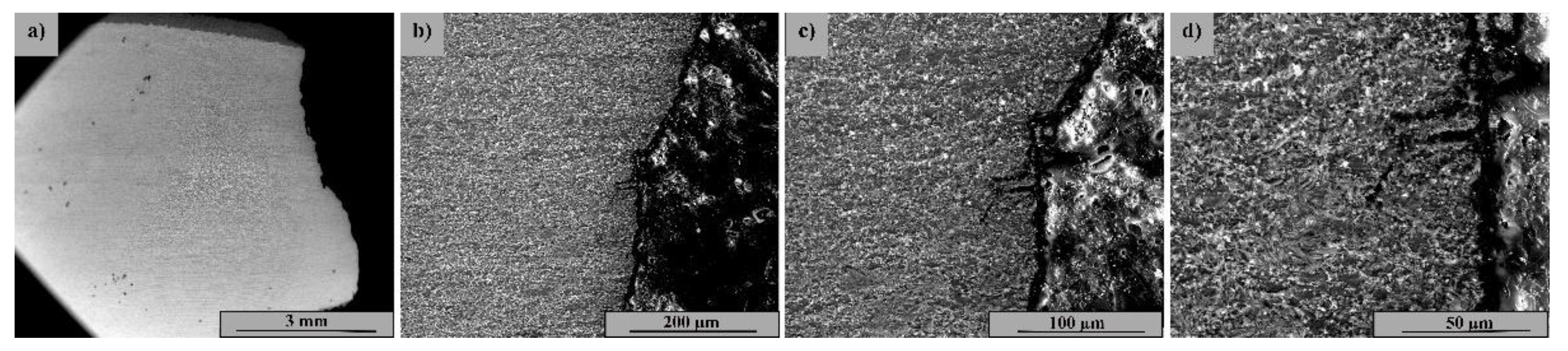 Materials 15 08116 g014 Materials 15 08116 g014