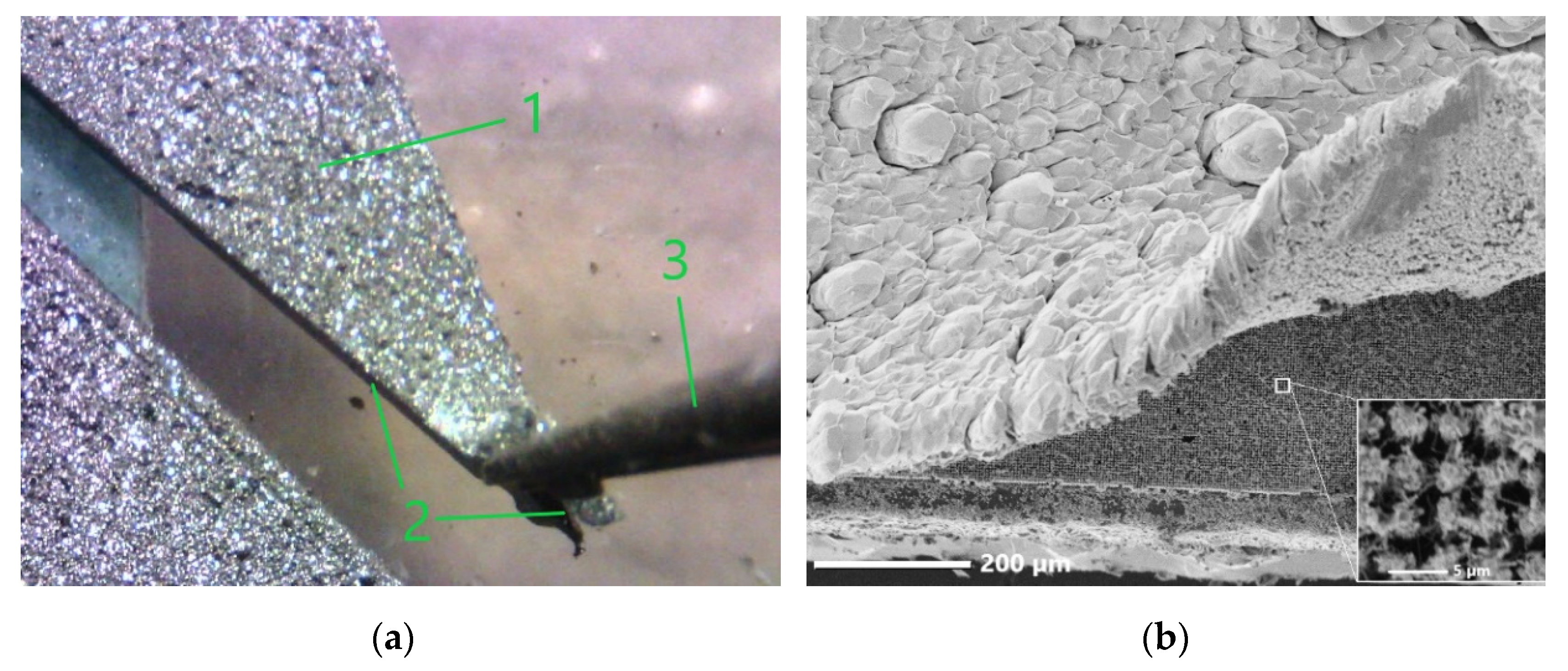 Materials 15 08165 g003