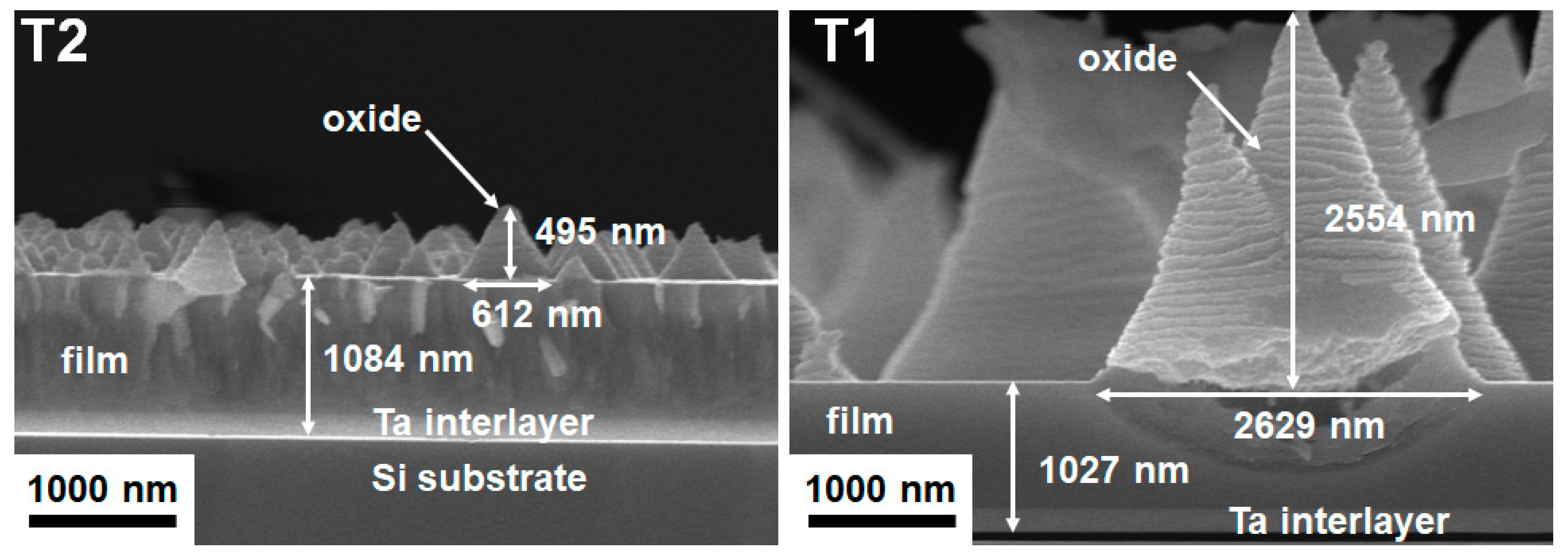 Materials 15 08179 g013 Materials 15 08179 g013