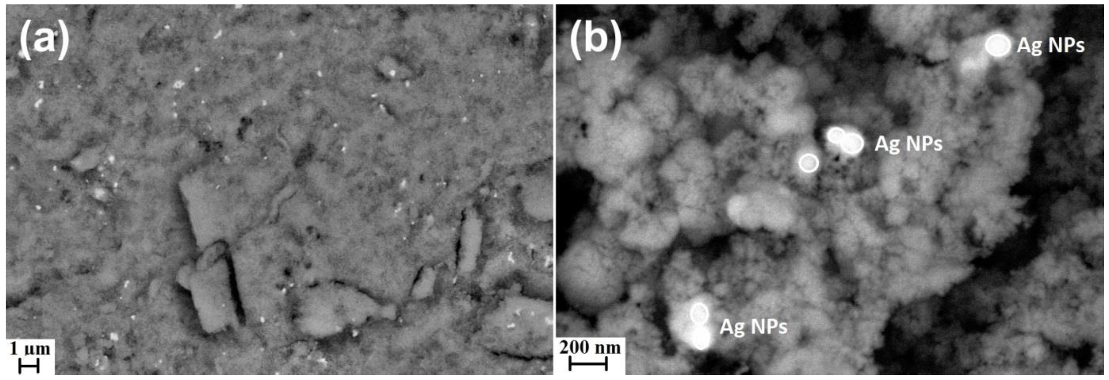 Materials 15 08192 g002 Materials 15 08192 g002