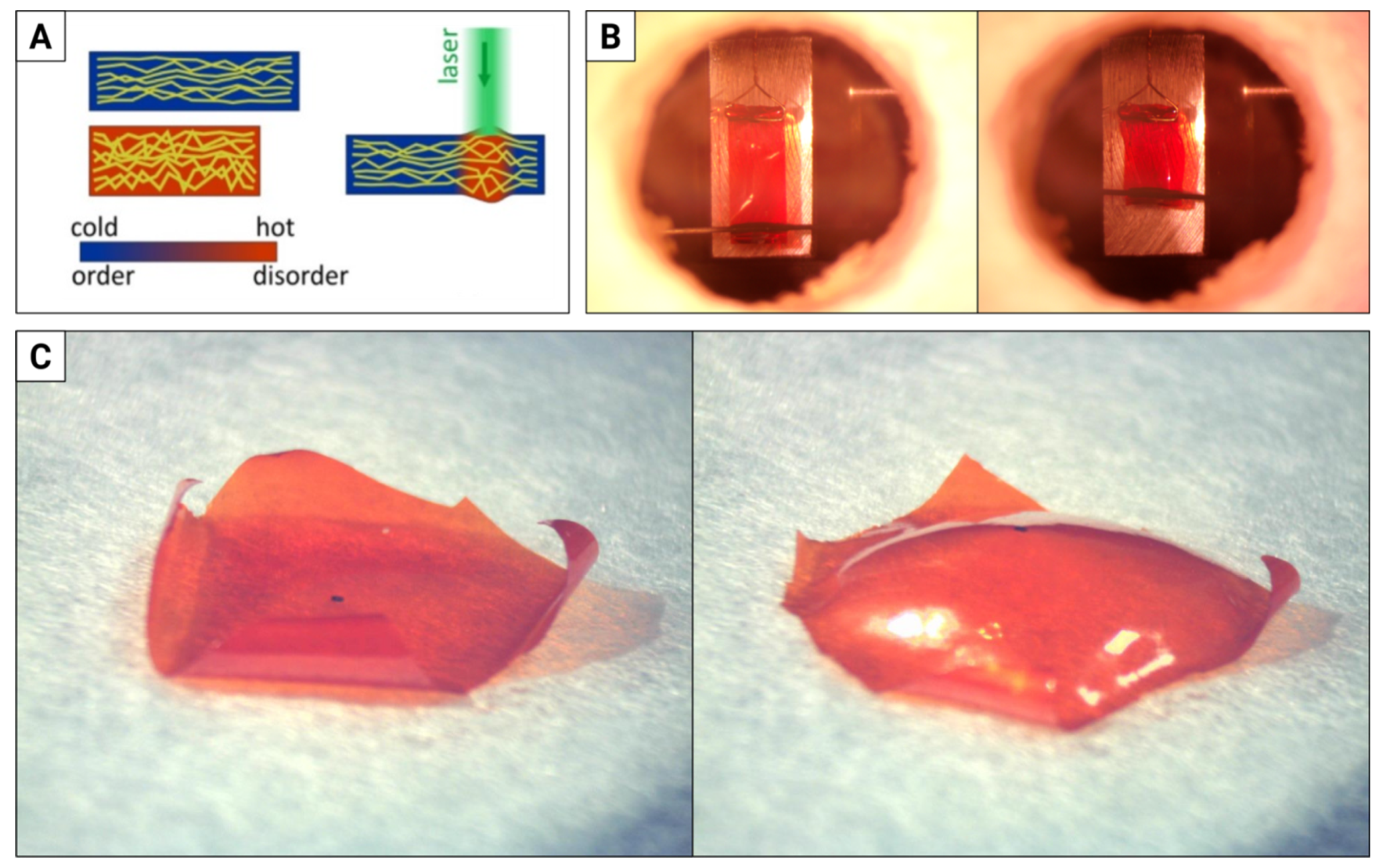 Materials 15 08214 g001